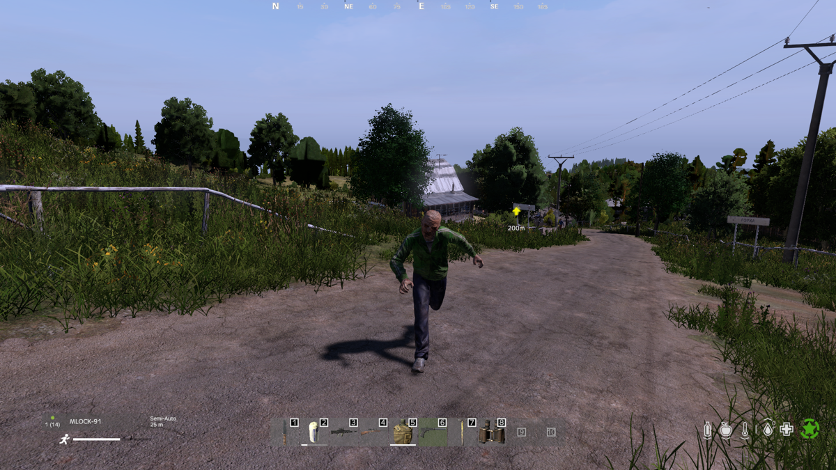 Скриншот игрового процесса DayZ