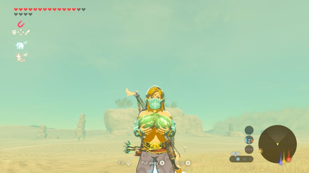 Скриншот игрового процесса The Legend of Zelda: Breath of the Wild