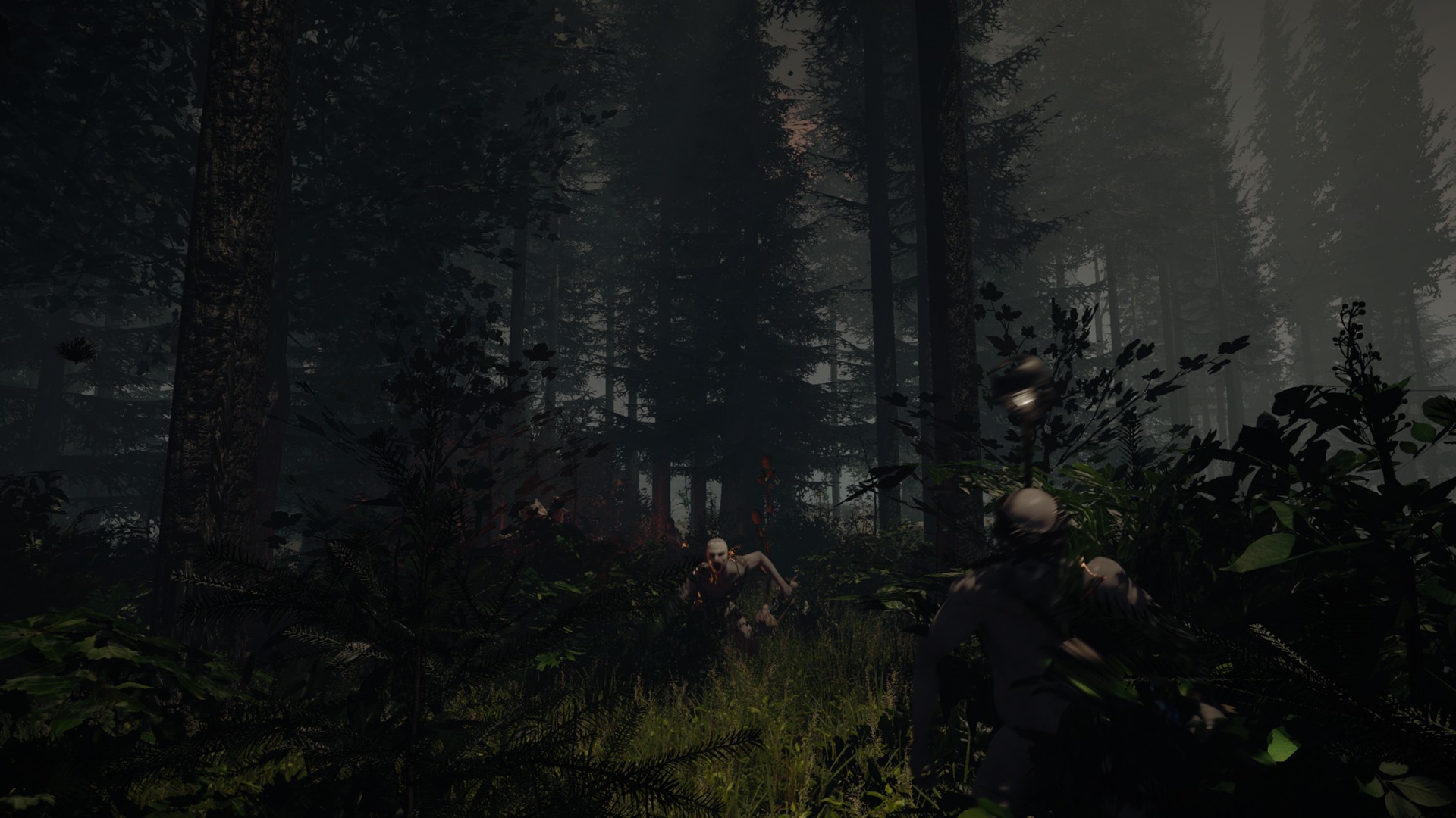 Геймплейный скриншот The Forest