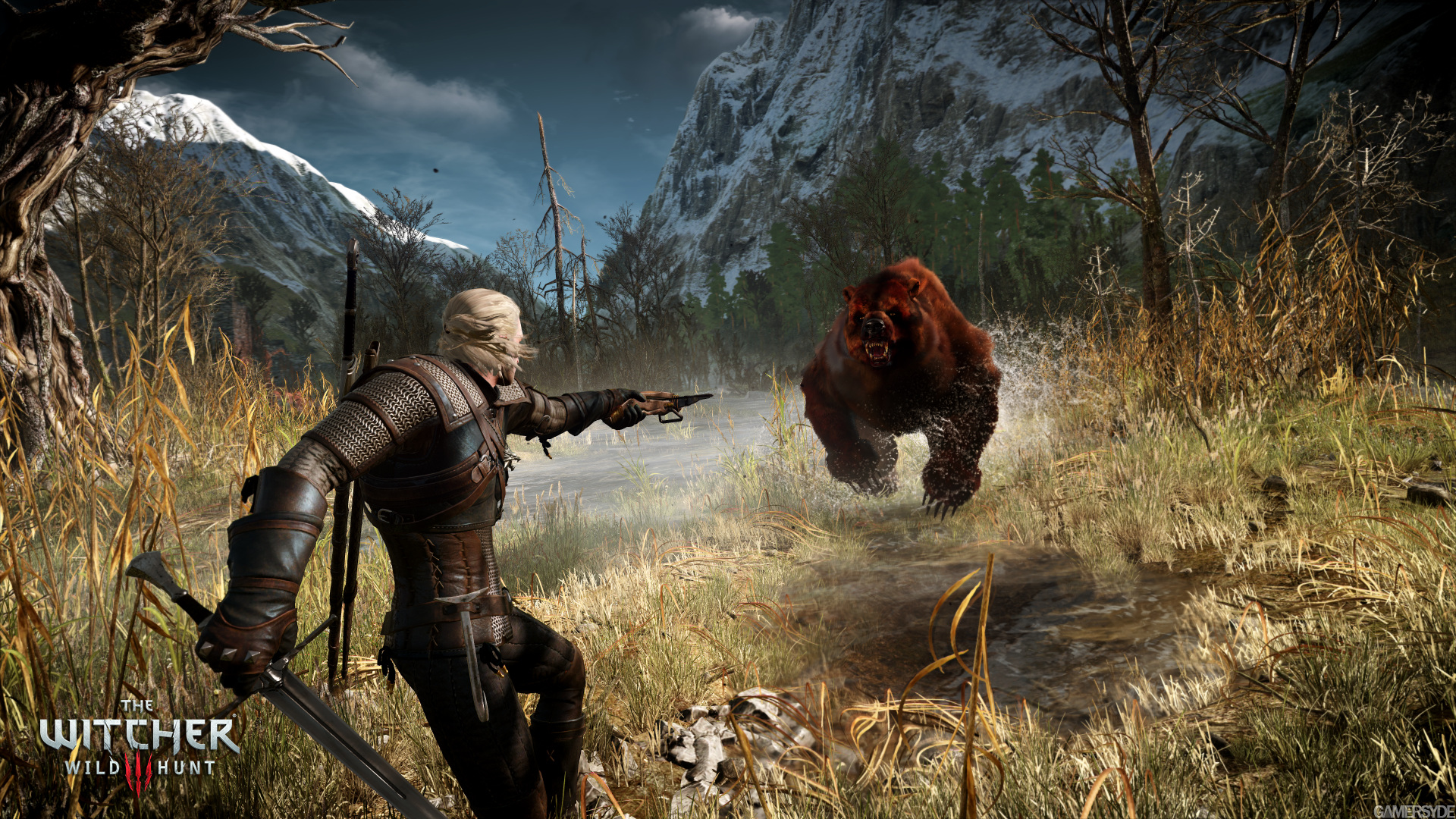Скриншот игрового процесса The Witcher 3 Wild Hunt