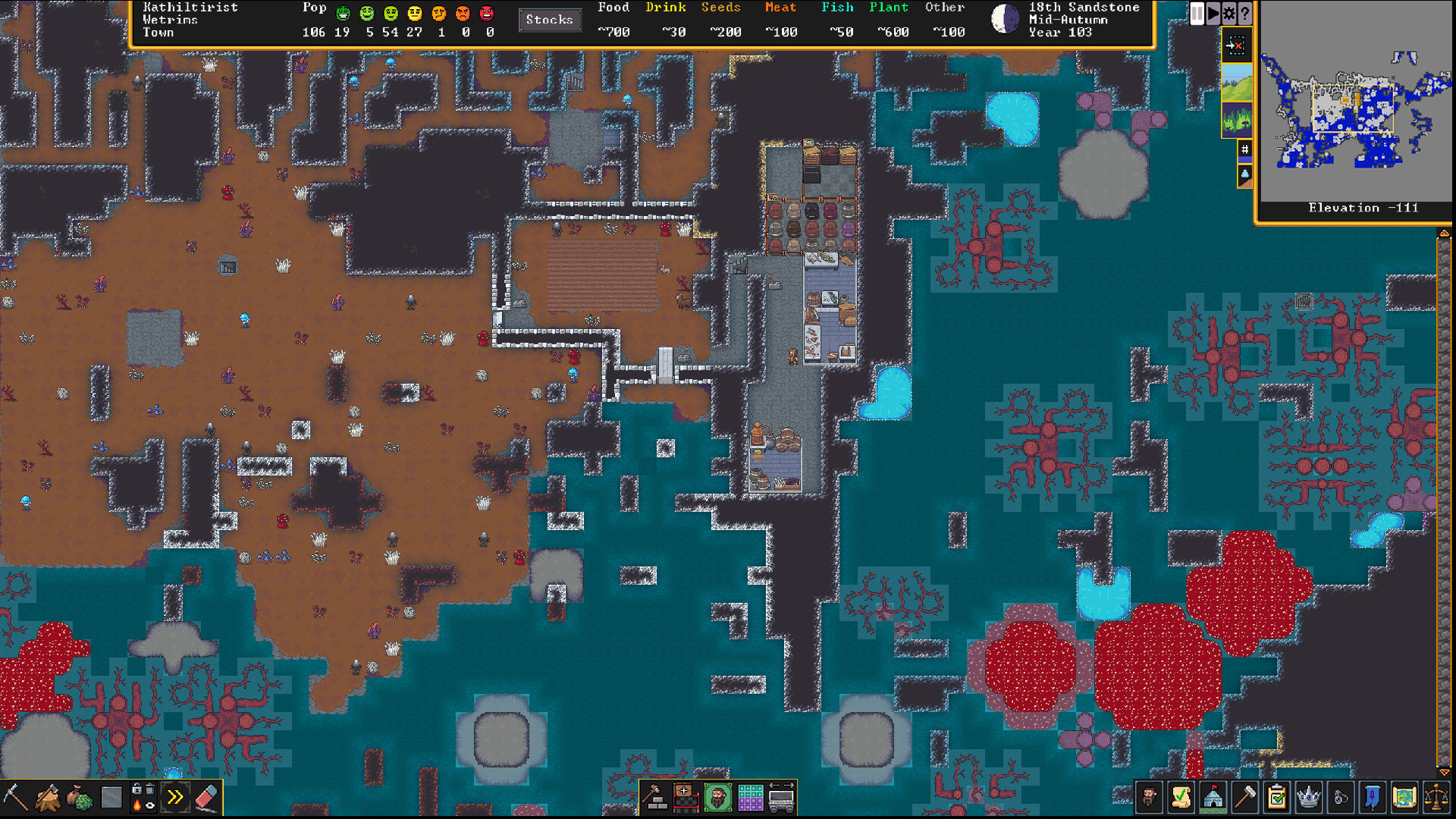 Игровой процесс Dwarf Fortress