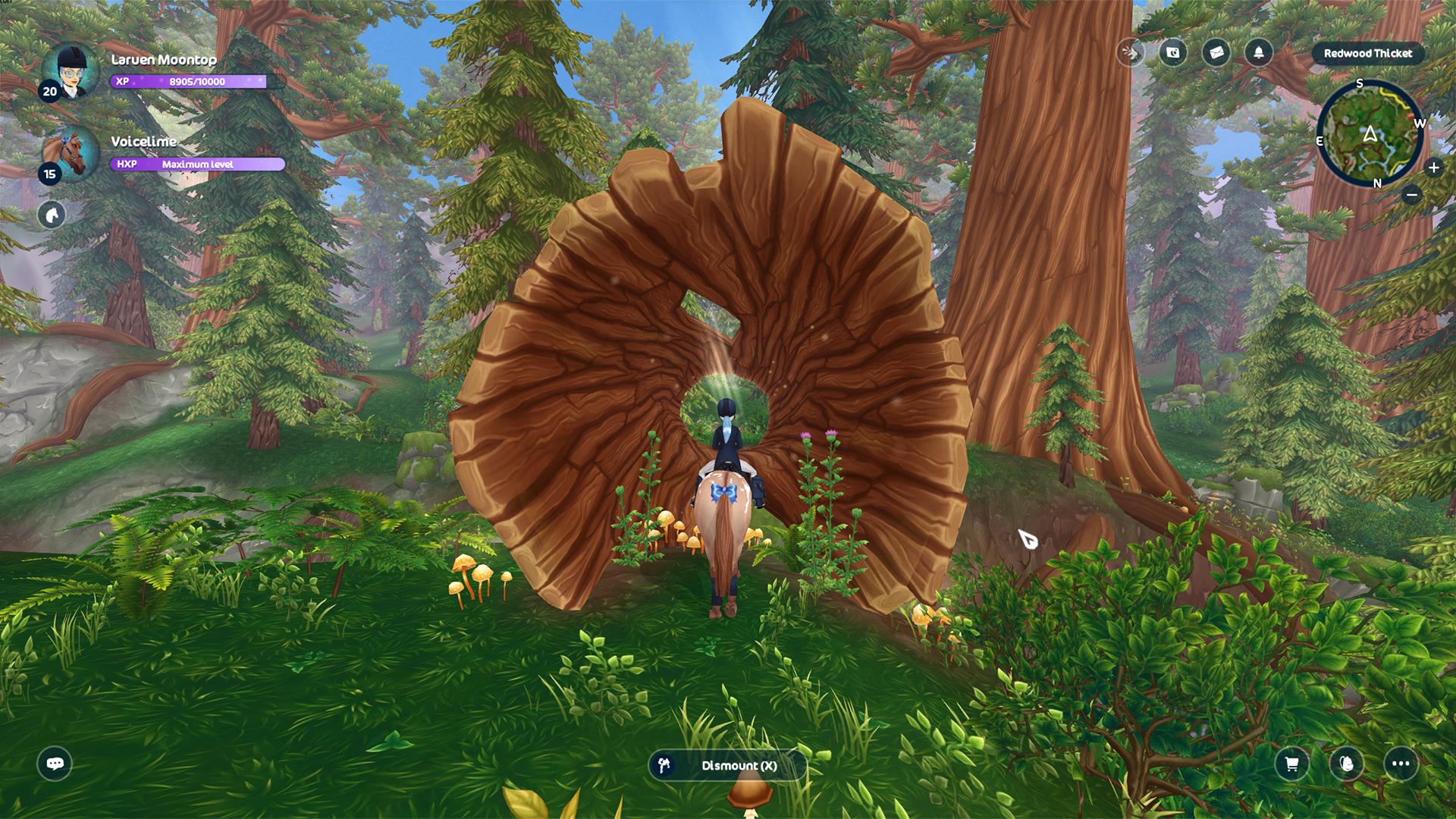 Скриншот игры Star Stable Online