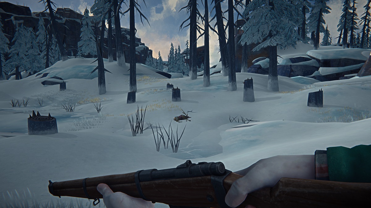 Геймплей The Long Dark