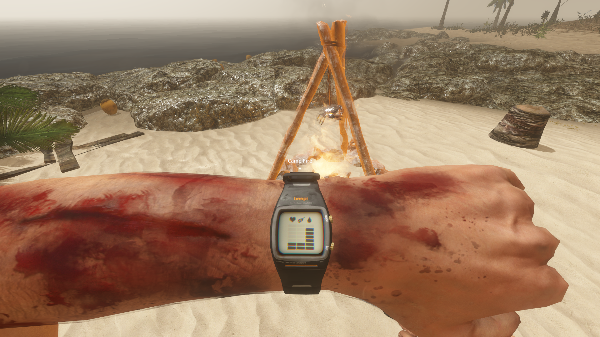 Скриншот игрового процесса Stranded Deep