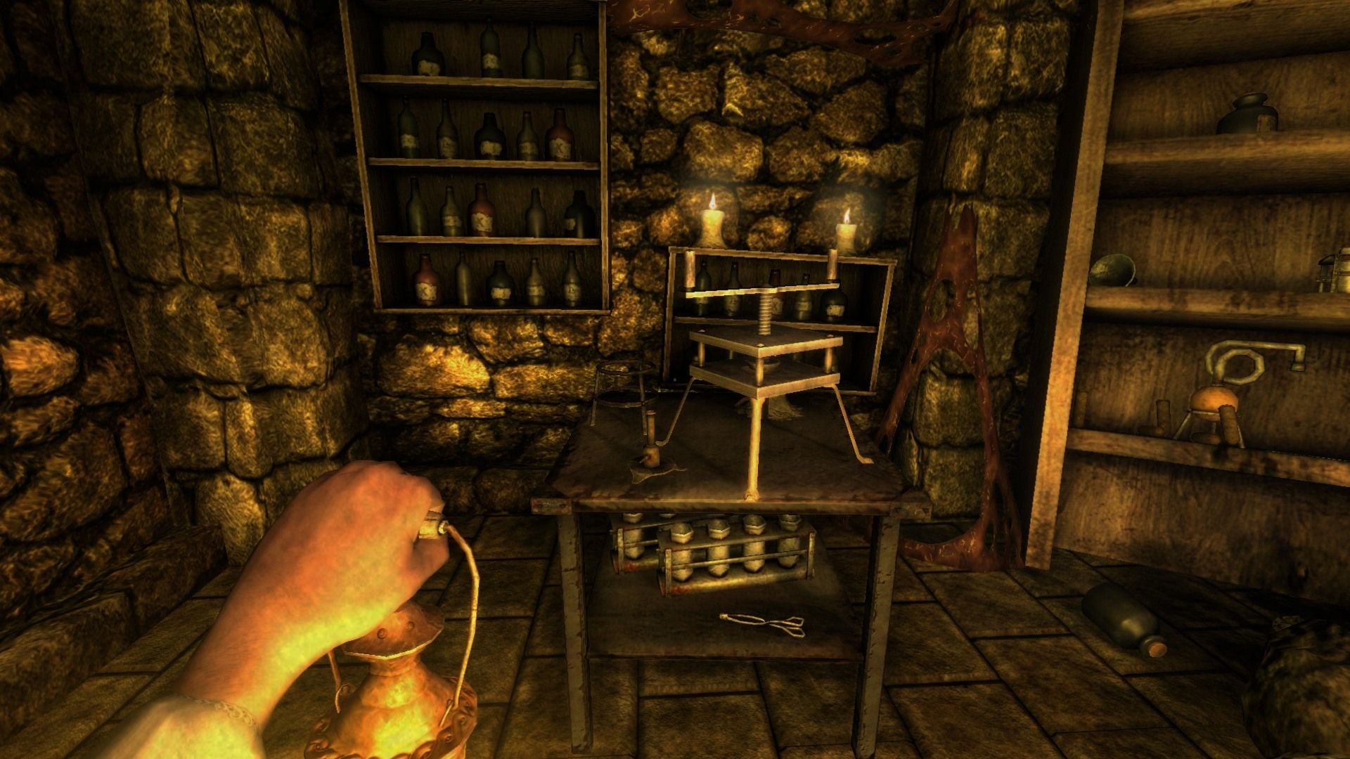 Скриншот игрового процесса Amnesia: The Dark Descent
