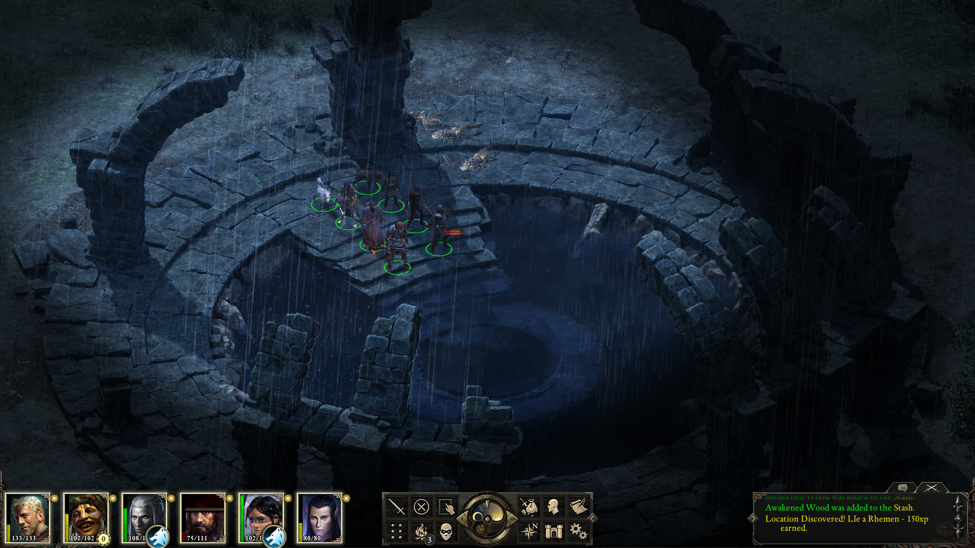 Скриншот игрового процесса Pillars of Eternity