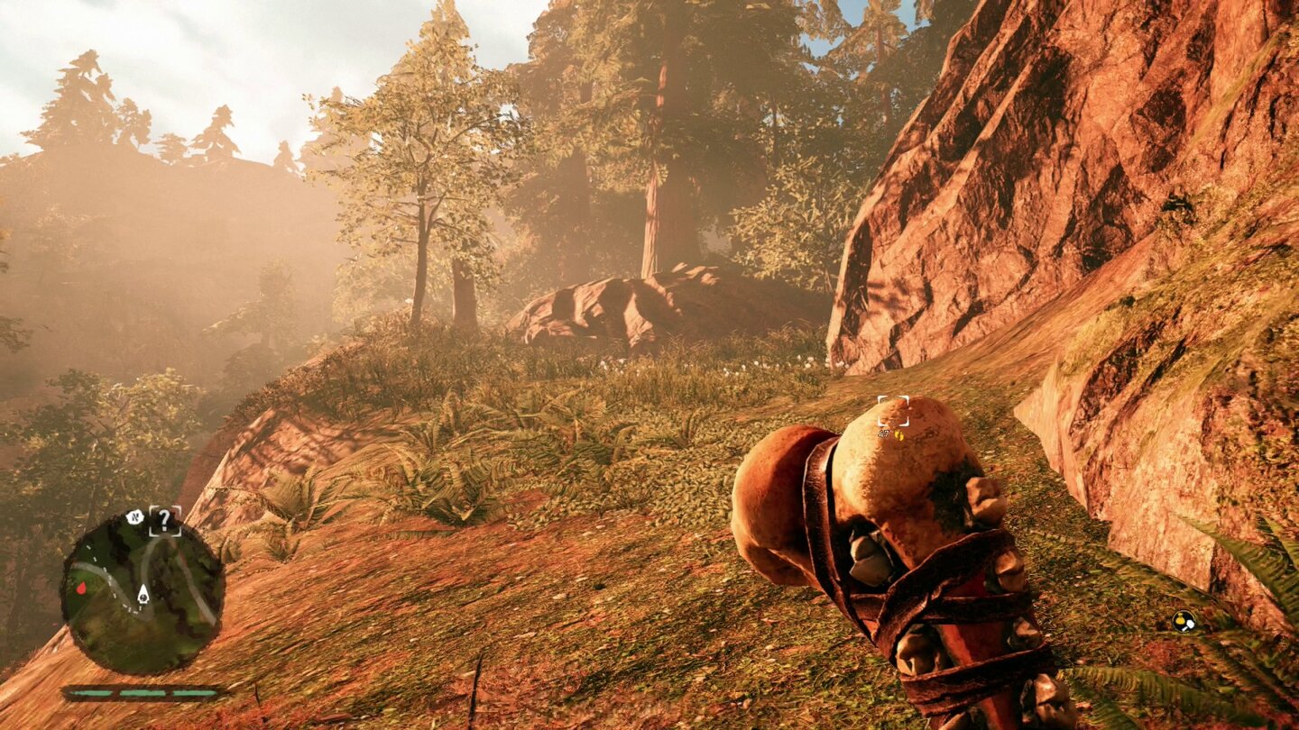 Скриншот игрового процесса Far Cry Primal