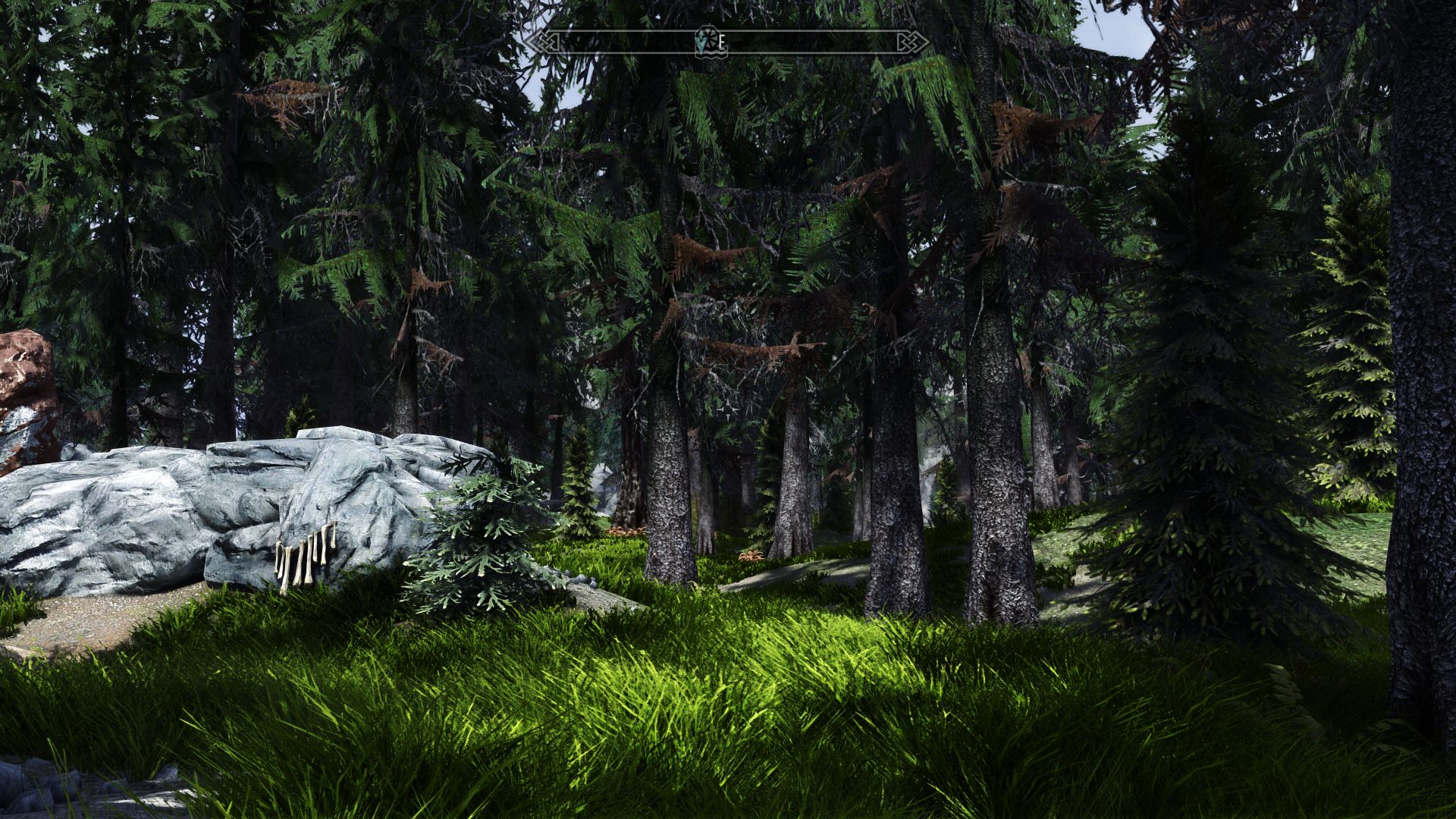 The Elder Scrolls V: Skyrim — игровой процесс