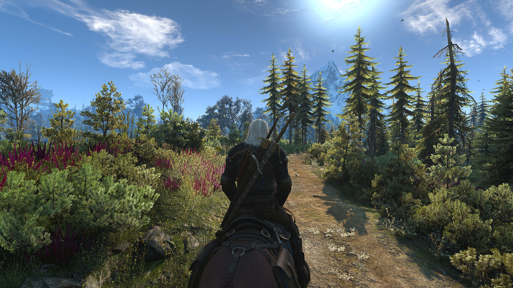 Скриншот игрового процесса The Witcher 3: Wild Hunt