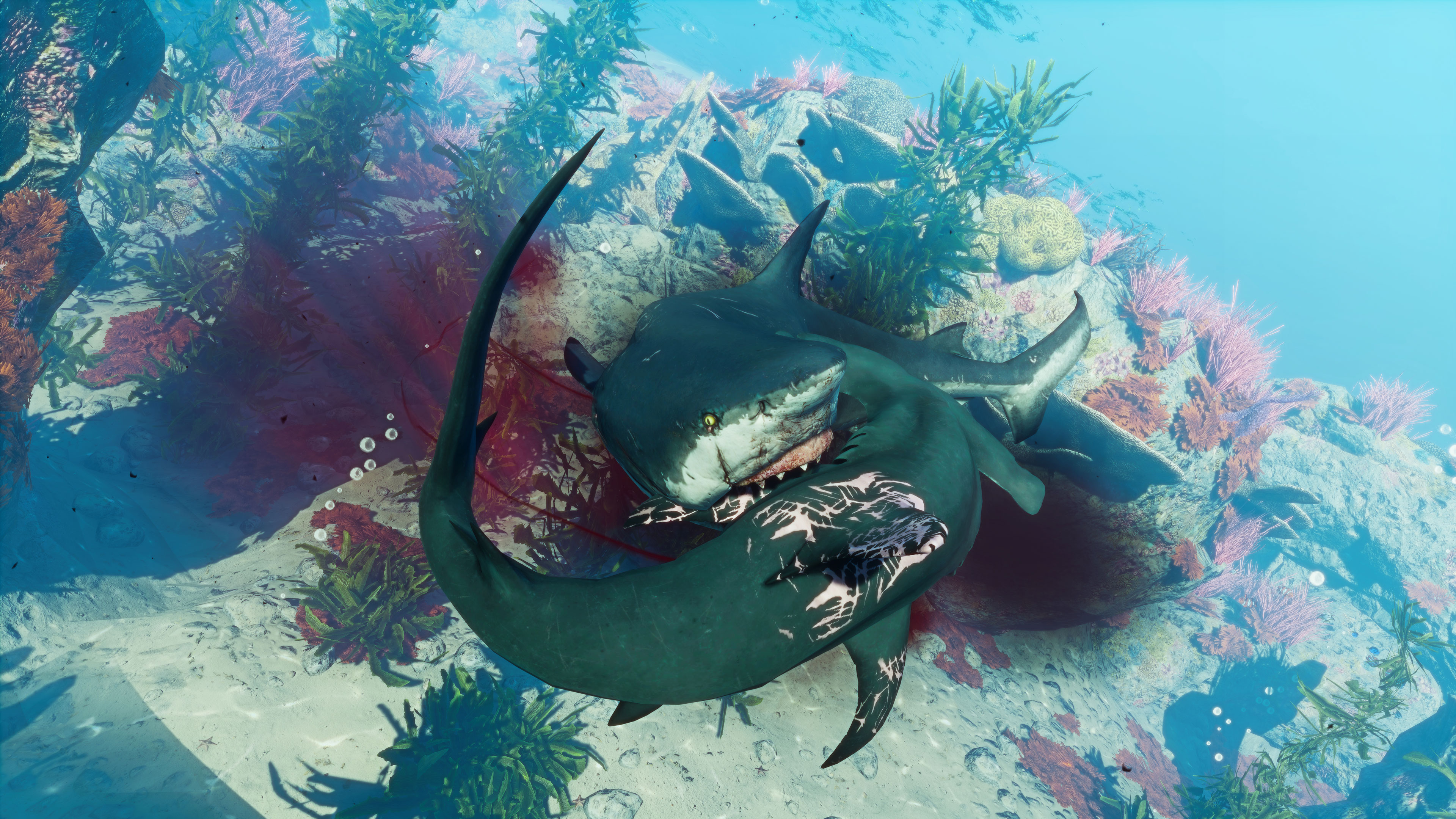 Геймплей Maneater