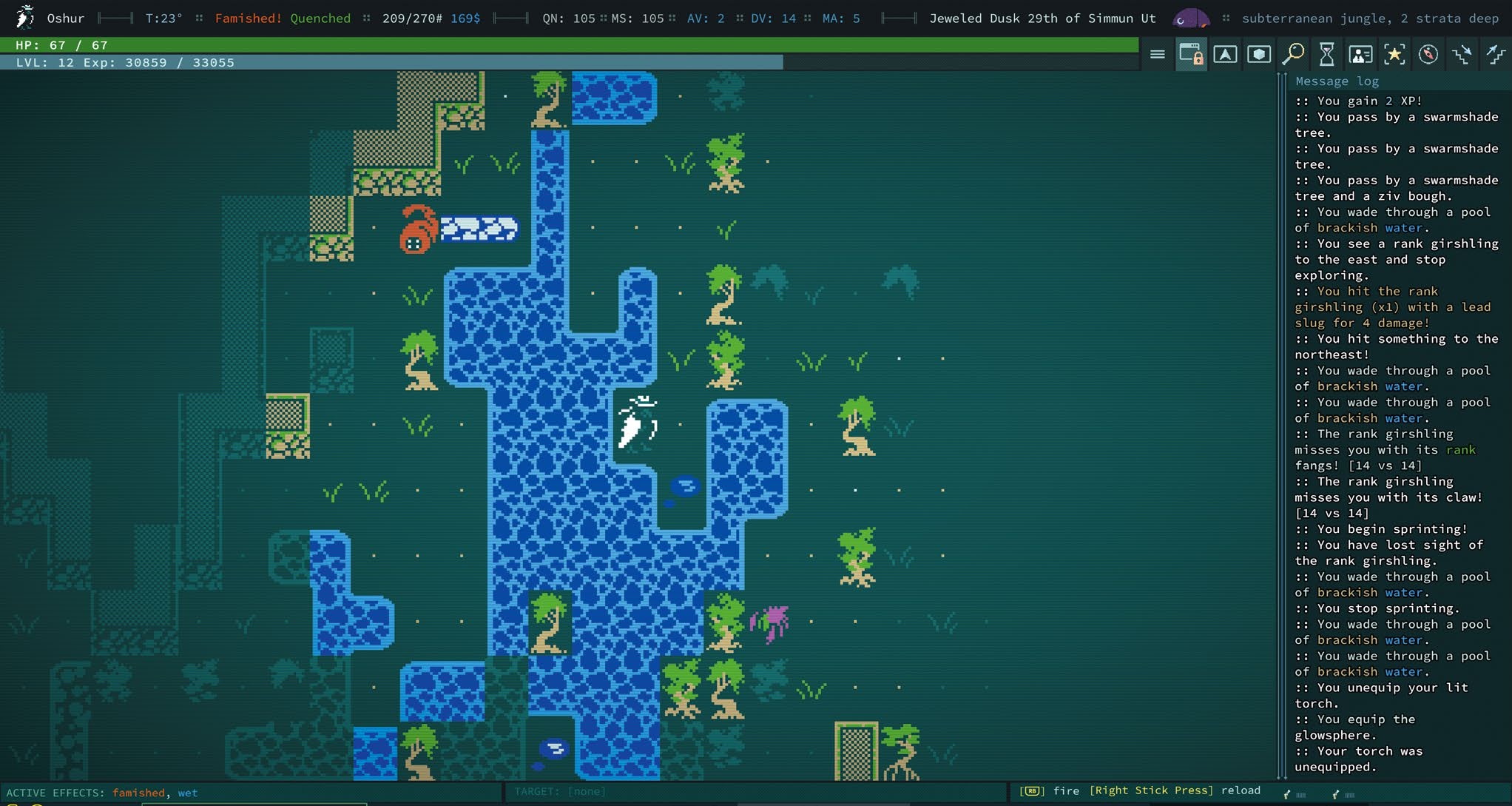 Геймплей Caves of Qud