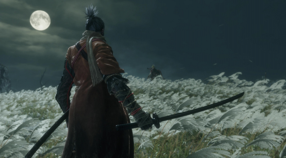 Геймплейный скриншот Sekiro Shadows Die Twice