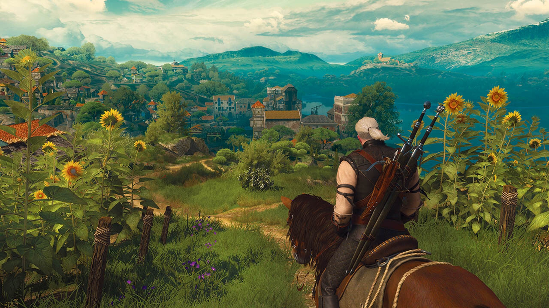 Геймплейный скриншот The Witcher 3 Wild Hunt