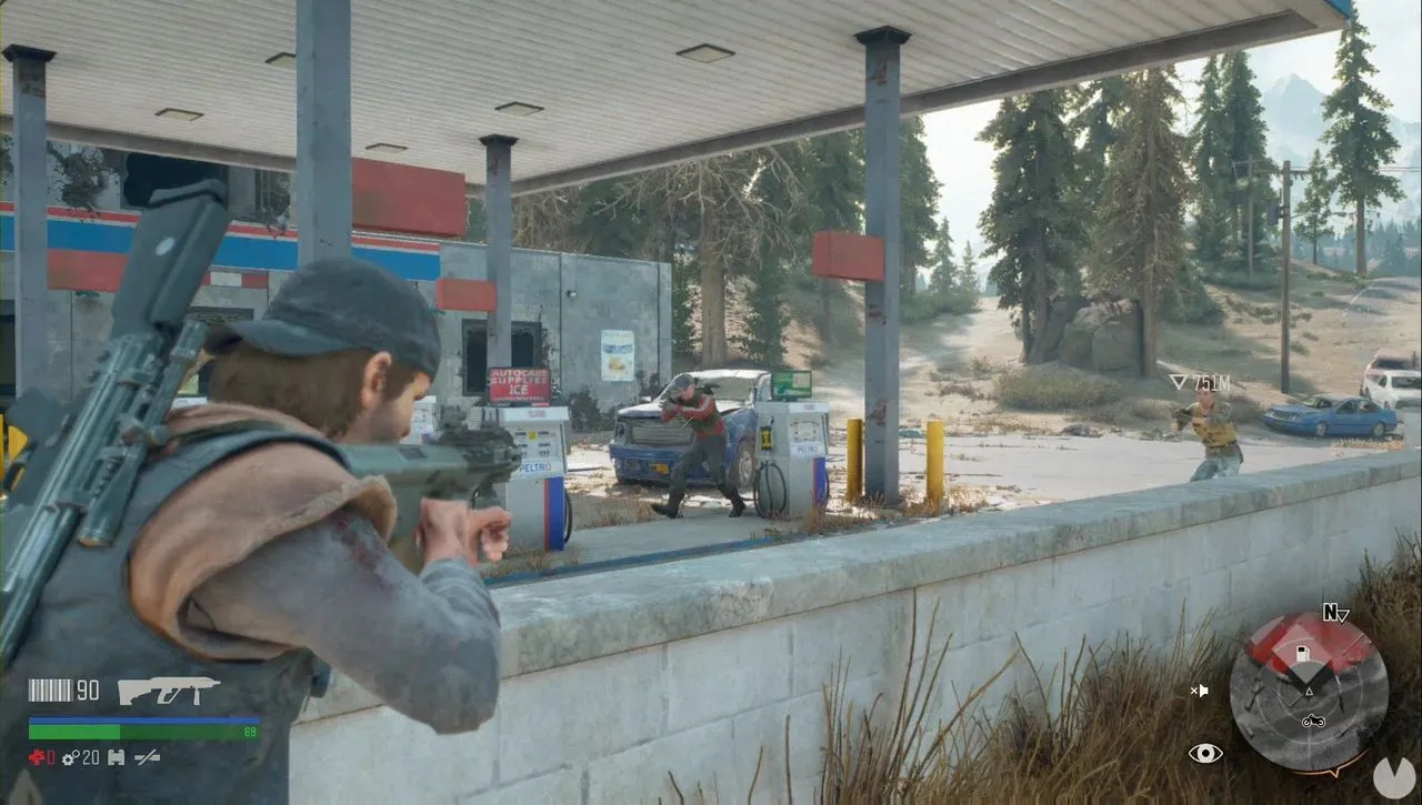 Days Gone