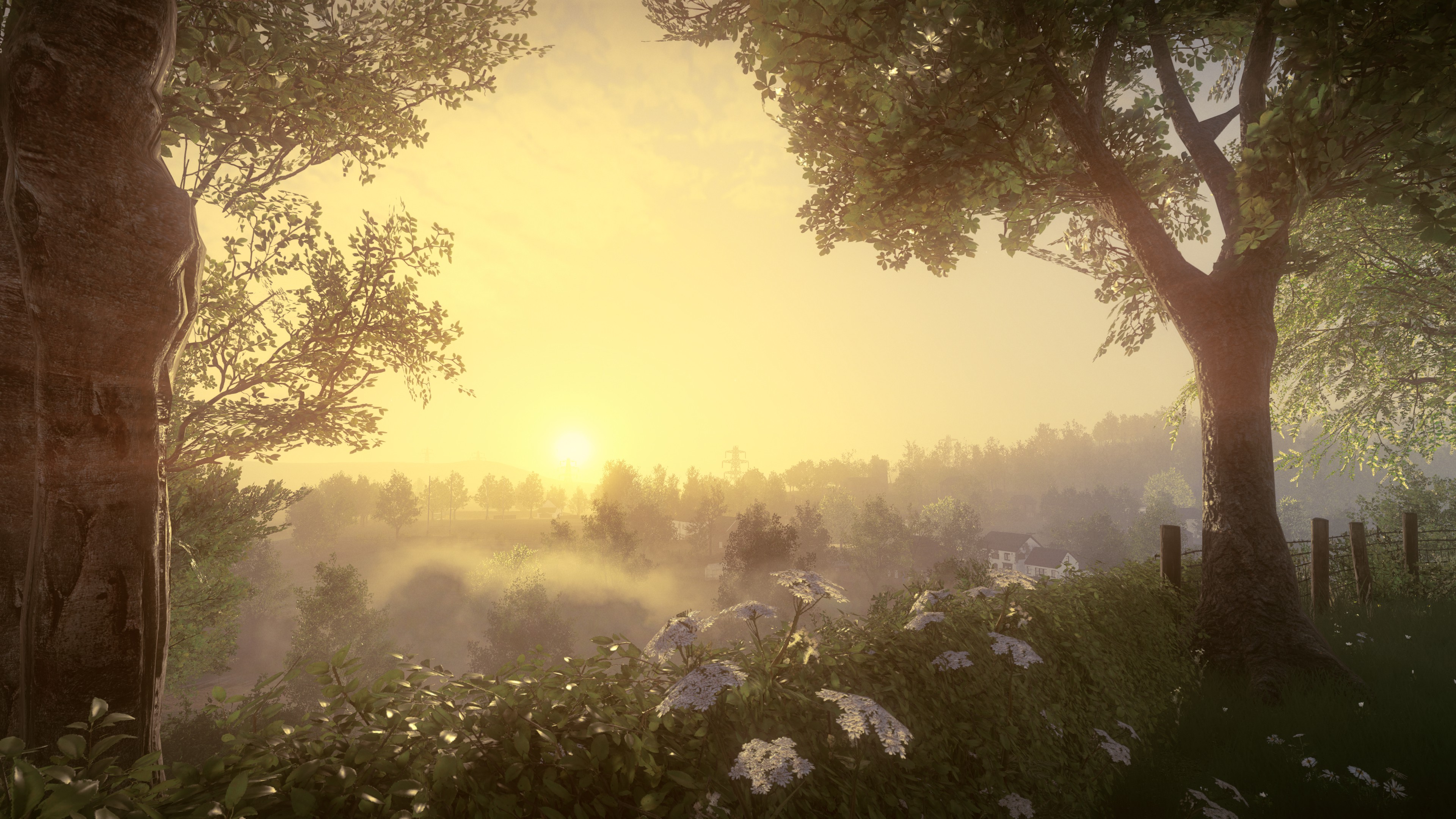 Everybody's Gone to the Rapture