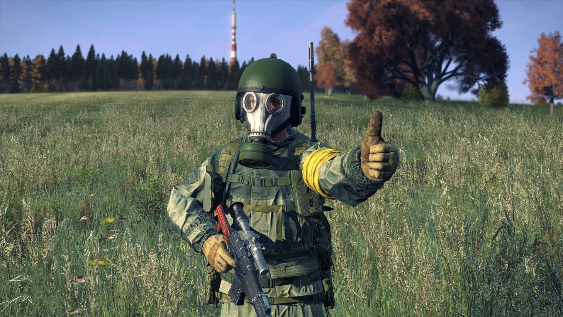 Геймплей DayZ