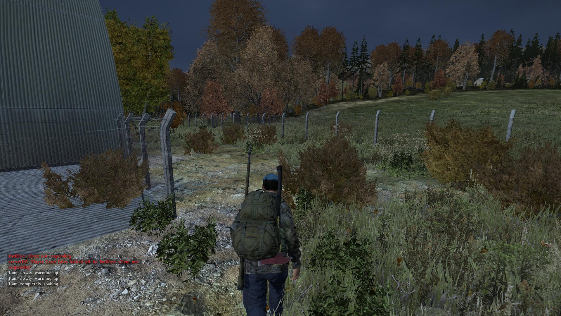 Геймплей DayZ
