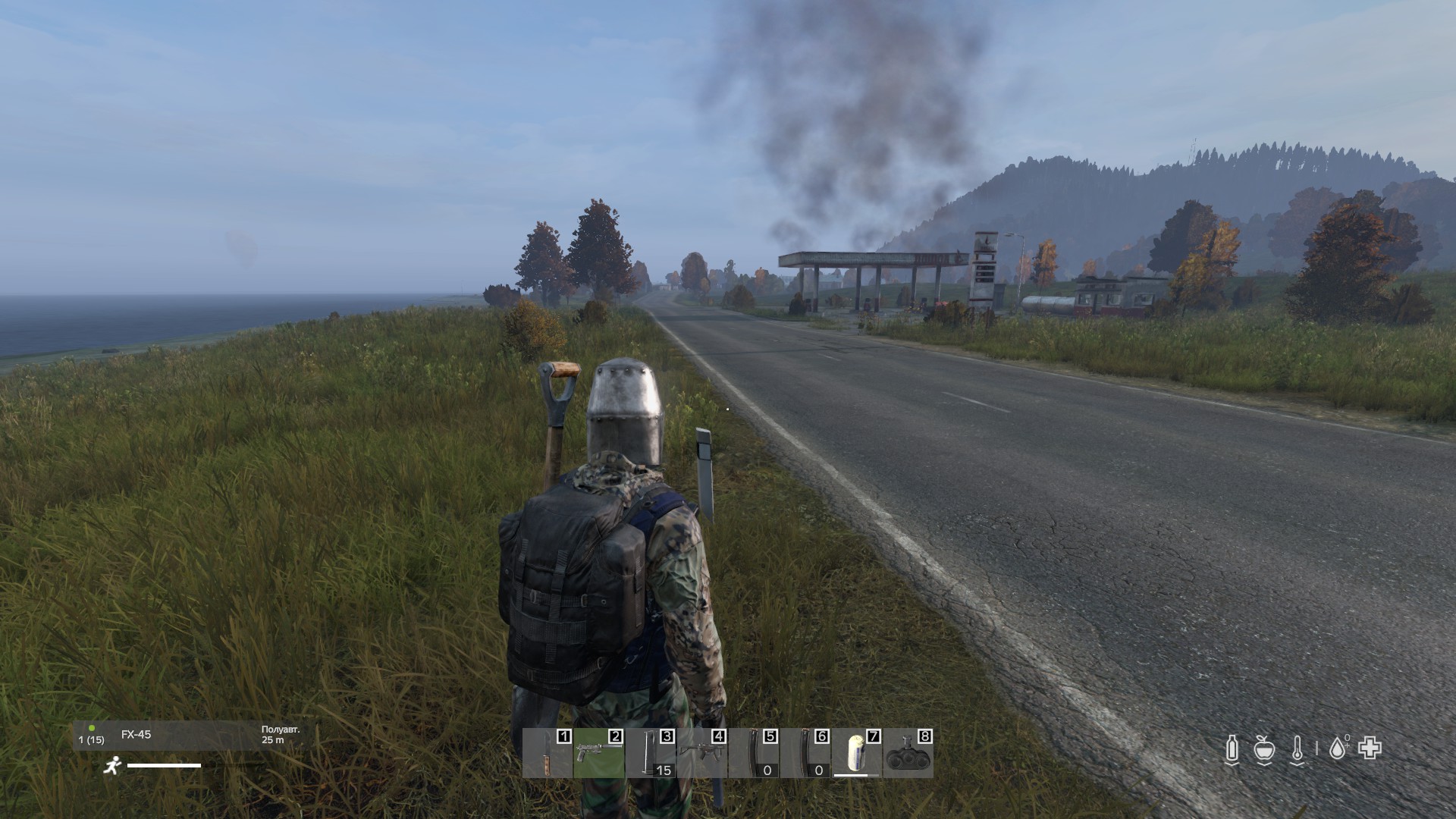 DayZ