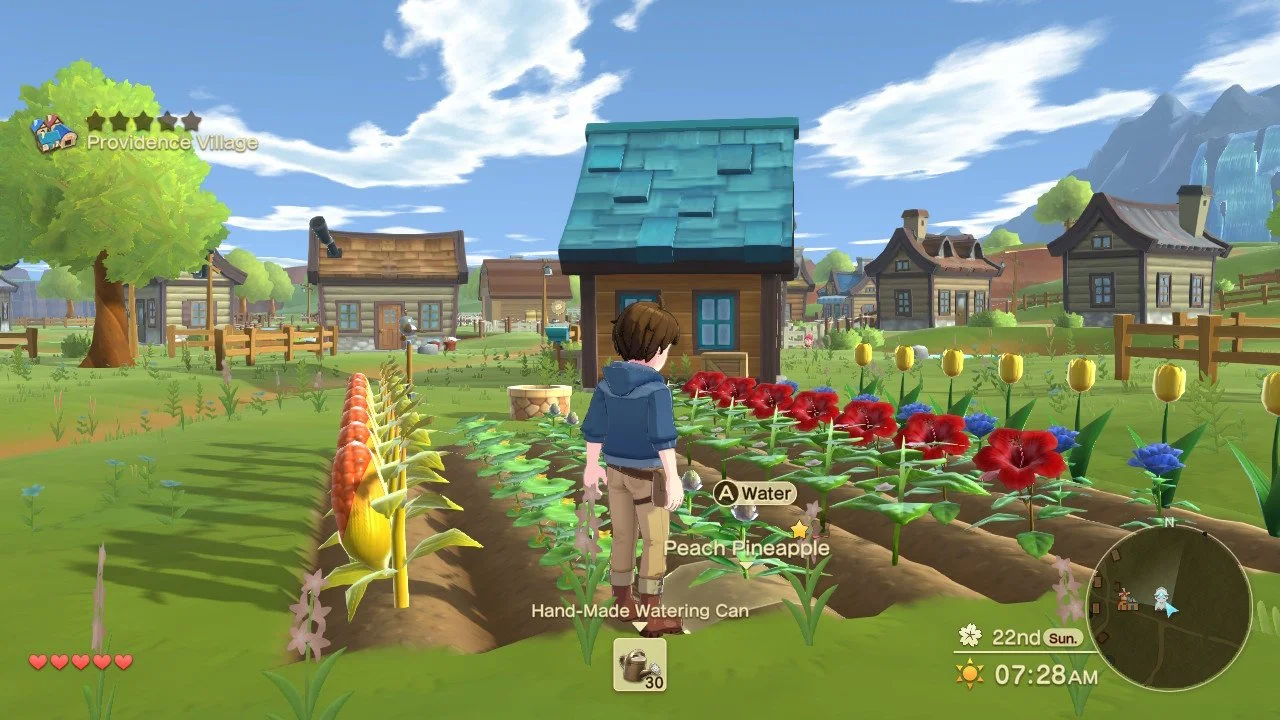 Игровой процесс Harvest Moon The Winds of Anthos