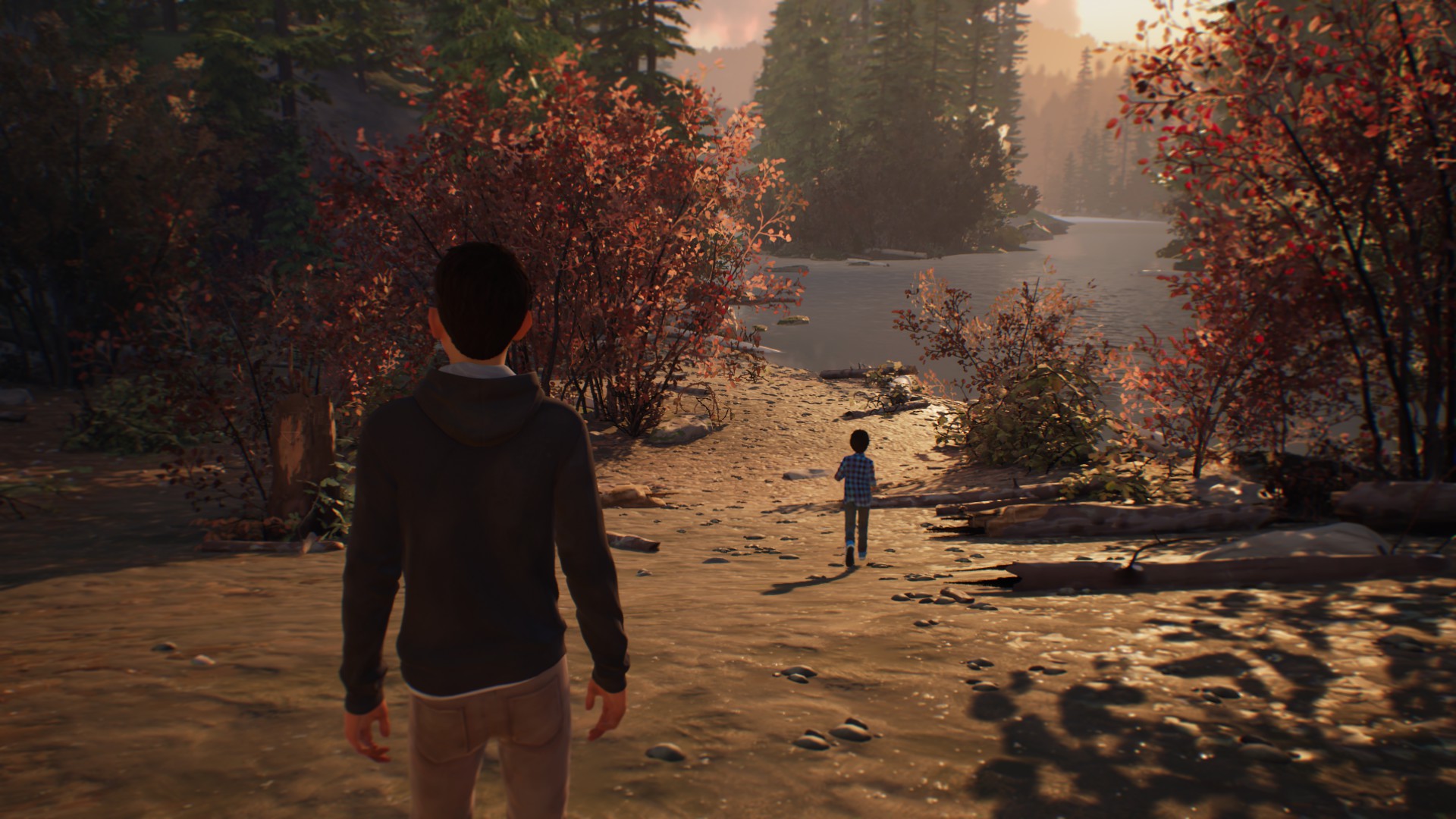Геймплей Life is Strange 2