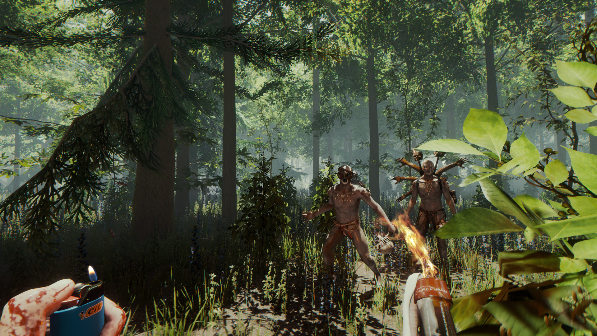 Геймплей The Forest