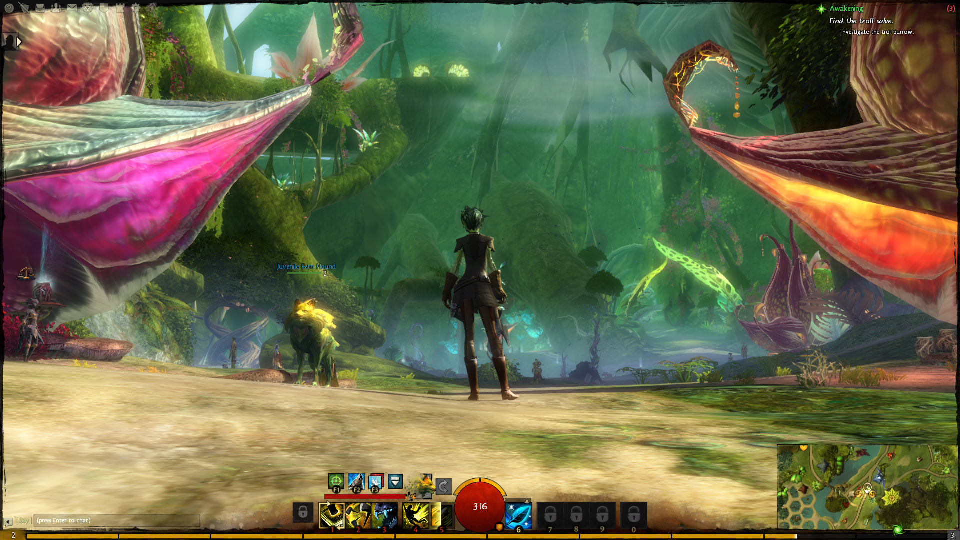 Геймплей Guild Wars 2