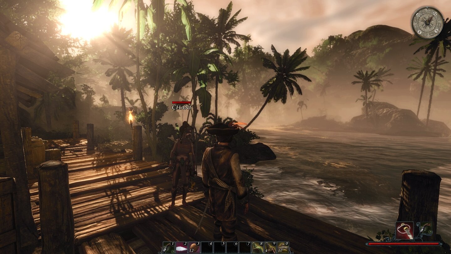 Скриншот Risen 2: Dark Waters