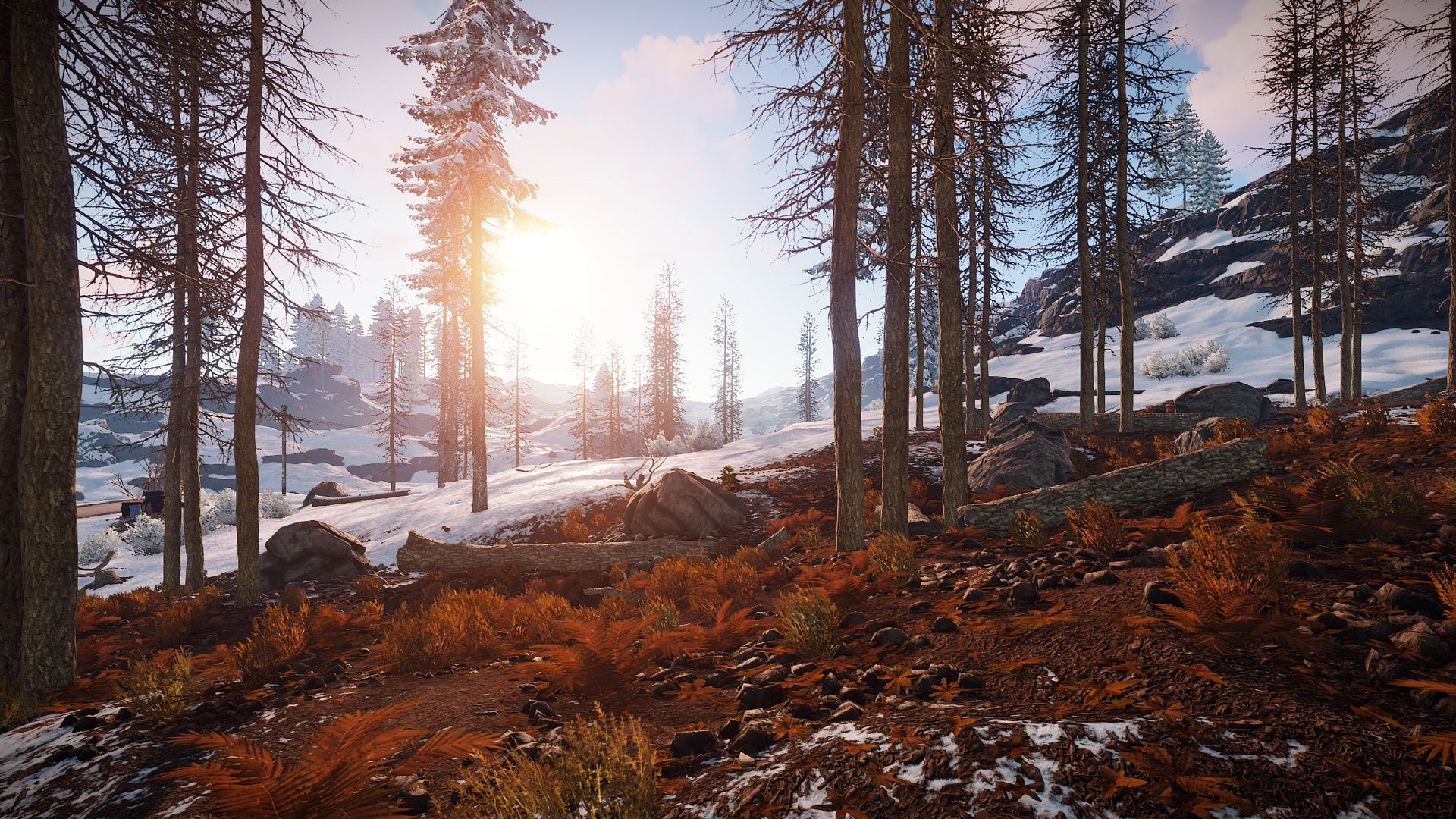 Геймплей Rust
