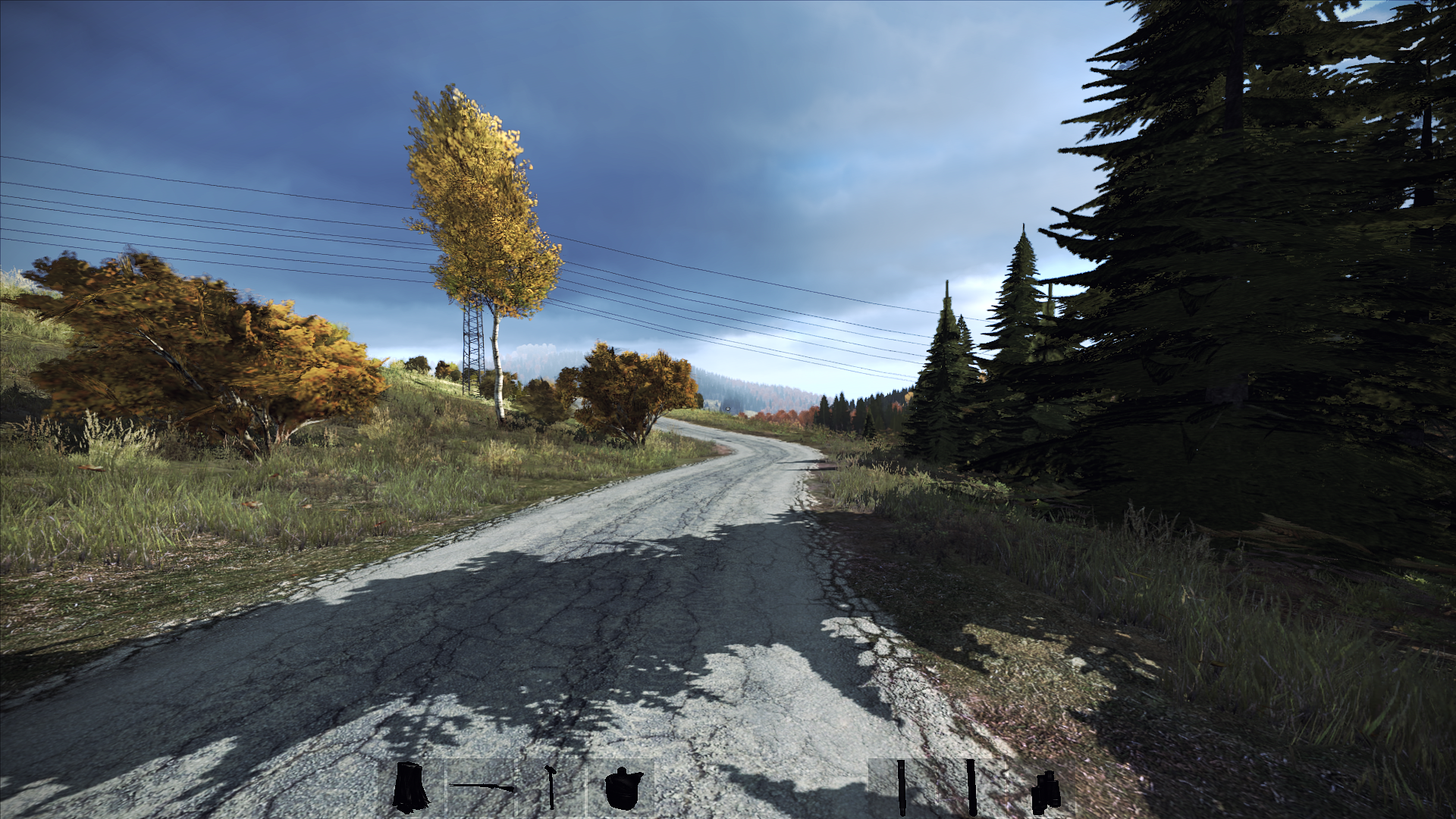 DayZ