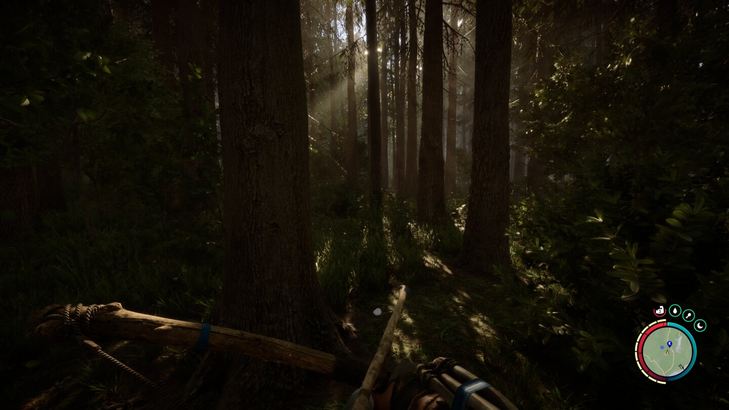 Игровой процесс Sons of the Forest