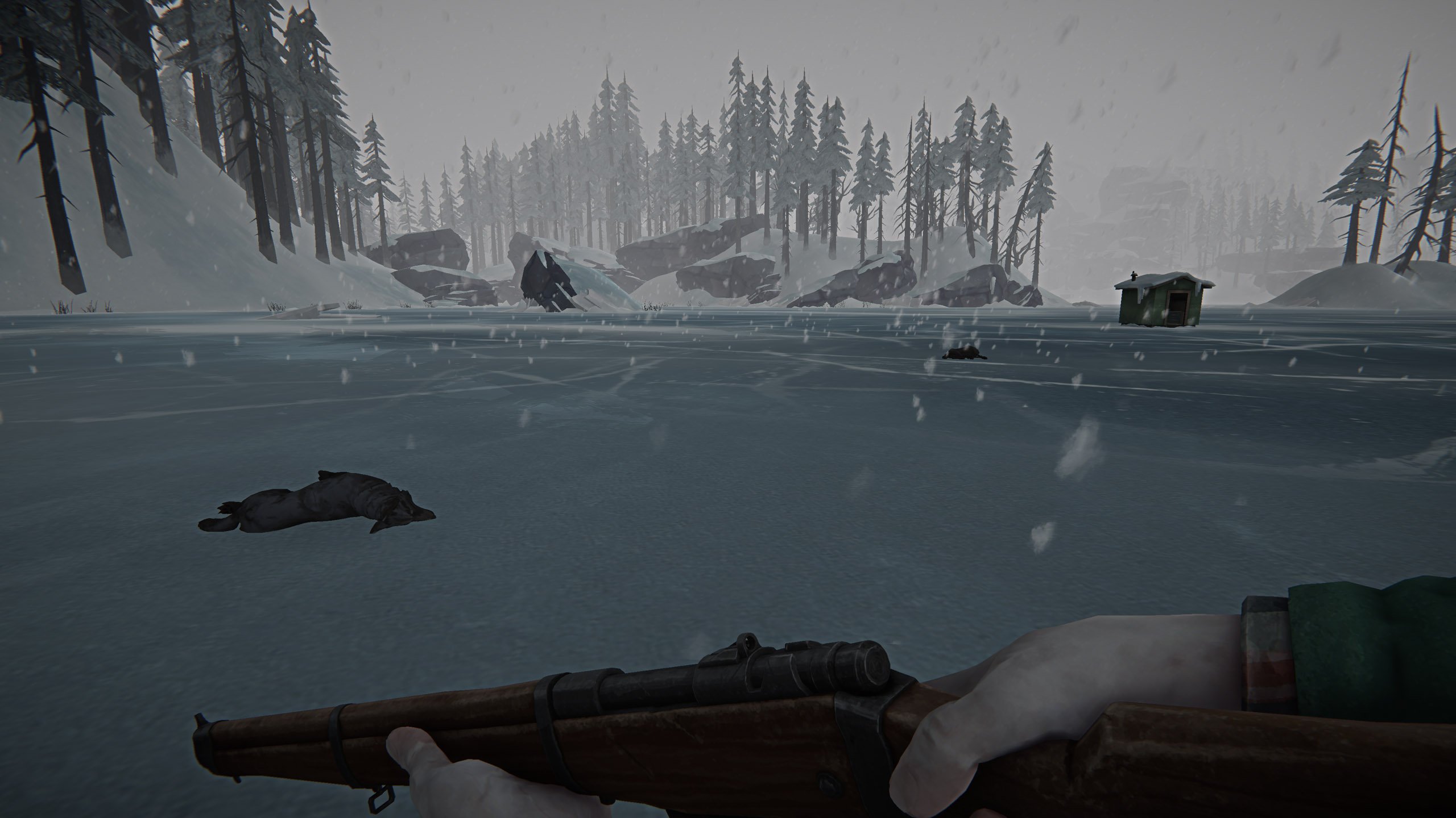 Скриншот The Long Dark