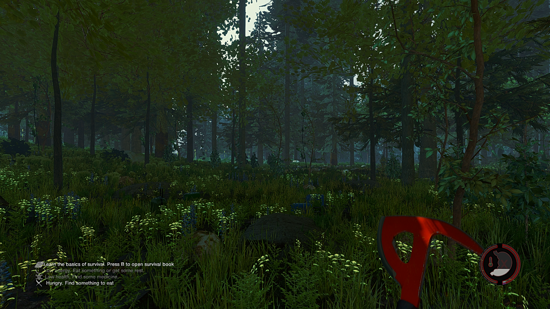 Геймплей The Forest