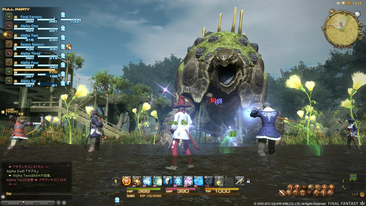 Геймплей Final Fantasy XIV Online