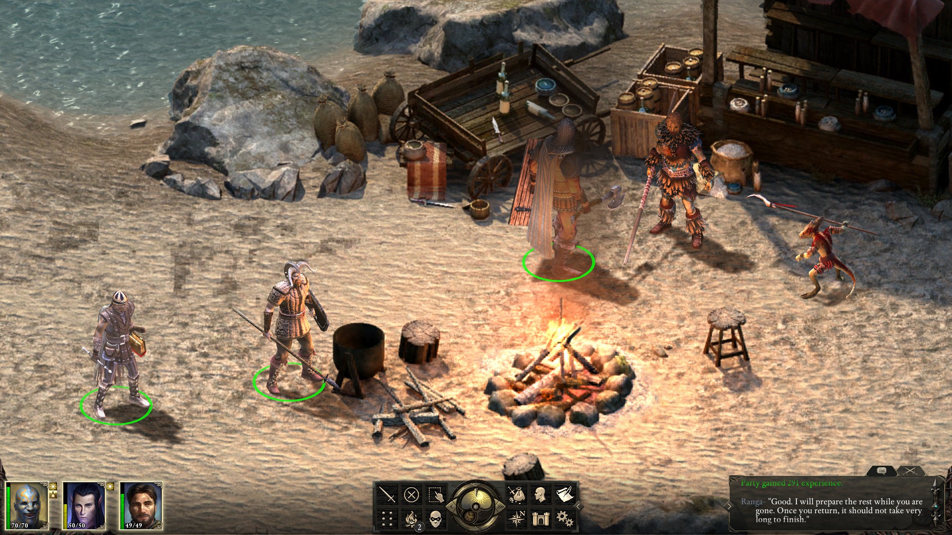 Отряд у прибрежного лагеря в Pillars of Eternity