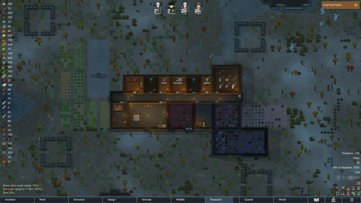 Игровой процесс RimWorld