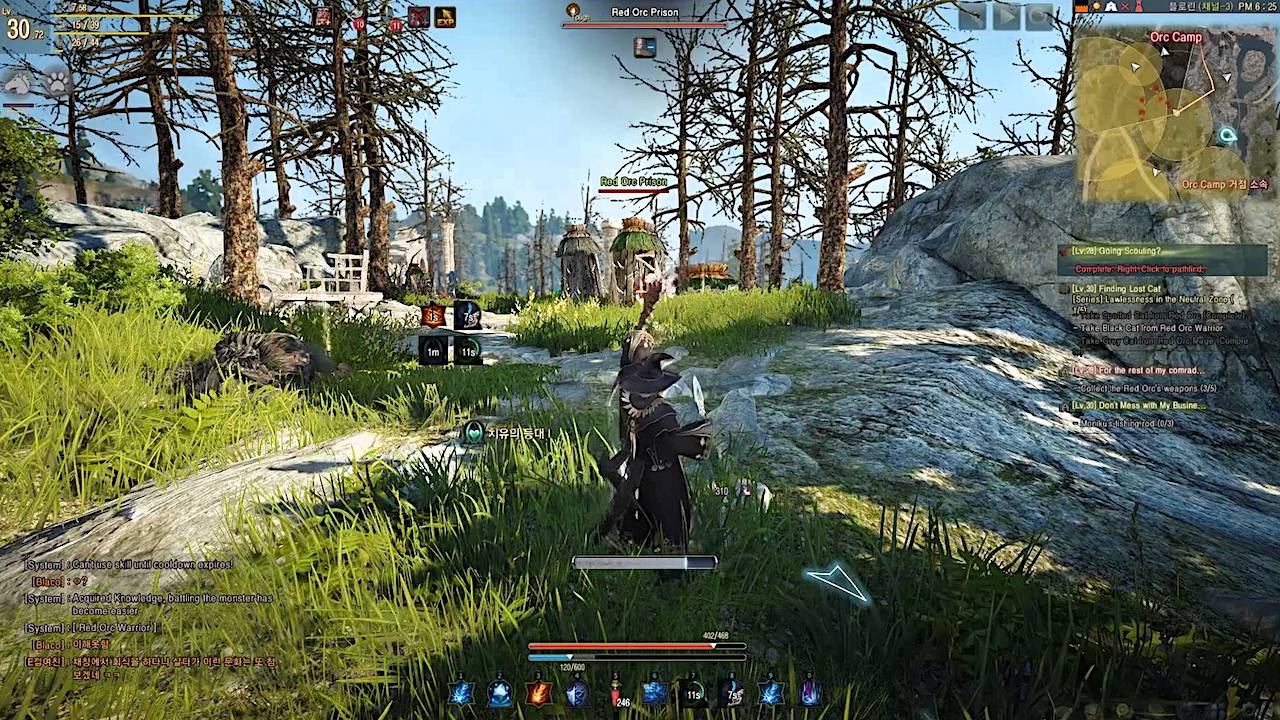 Персонаж среди зелёных скал и противников в Black Desert Online