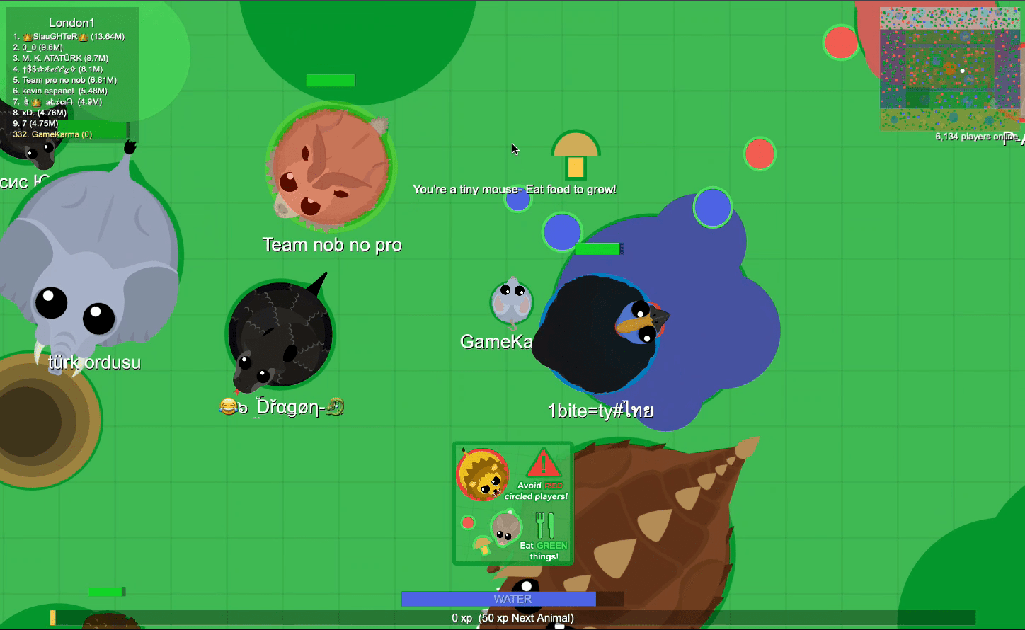 Игровой процесс Mope.io: водное животное собирает пищу и набирает опыт