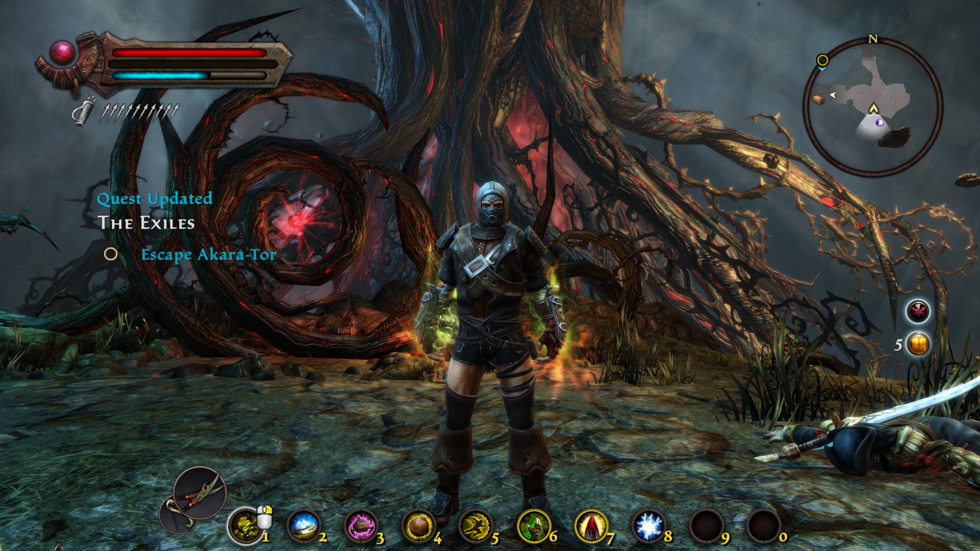 Сражение в Kingdoms of Amalur: Re-Reckoning