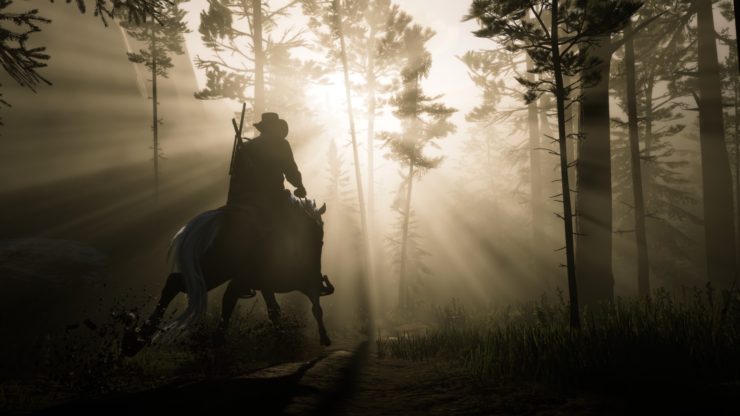 Red Dead Redemption 2 — игровой процесс