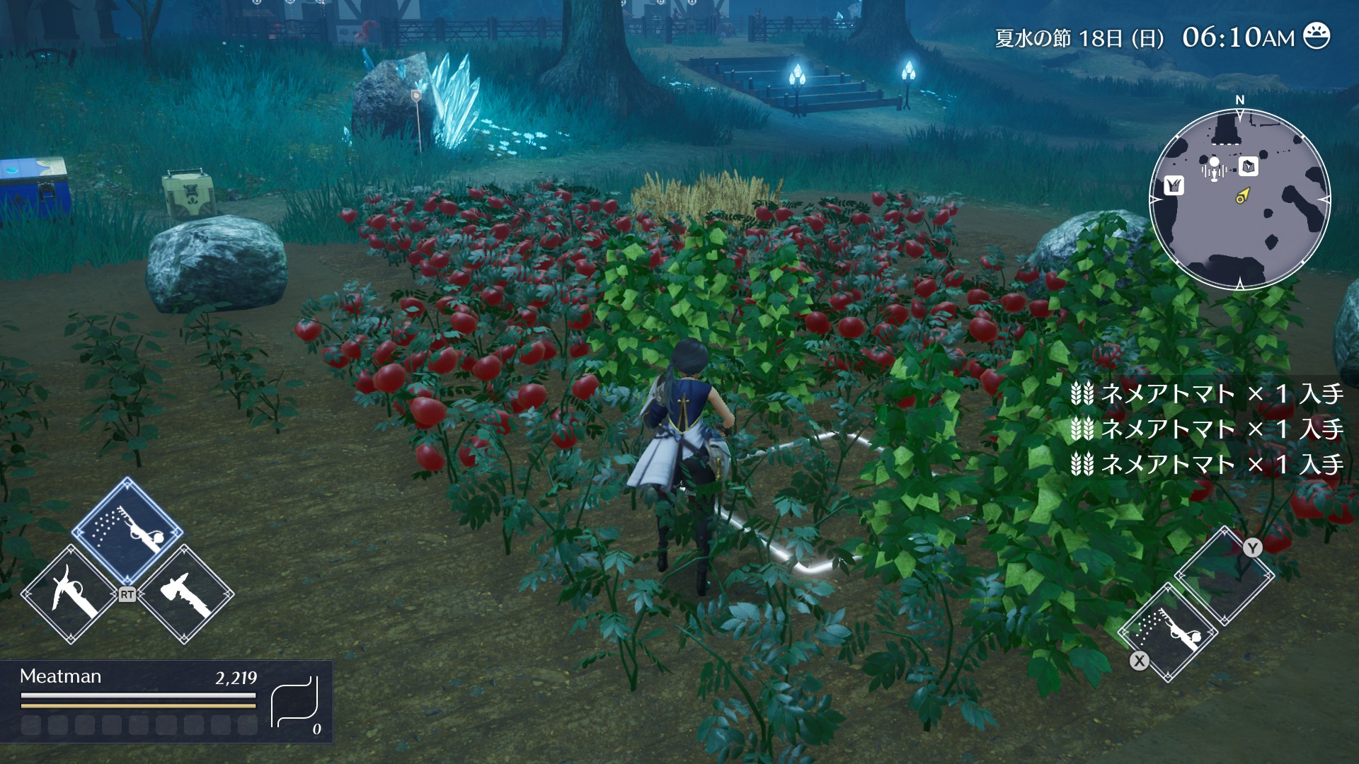 Игровой процесс HARVESTELLA