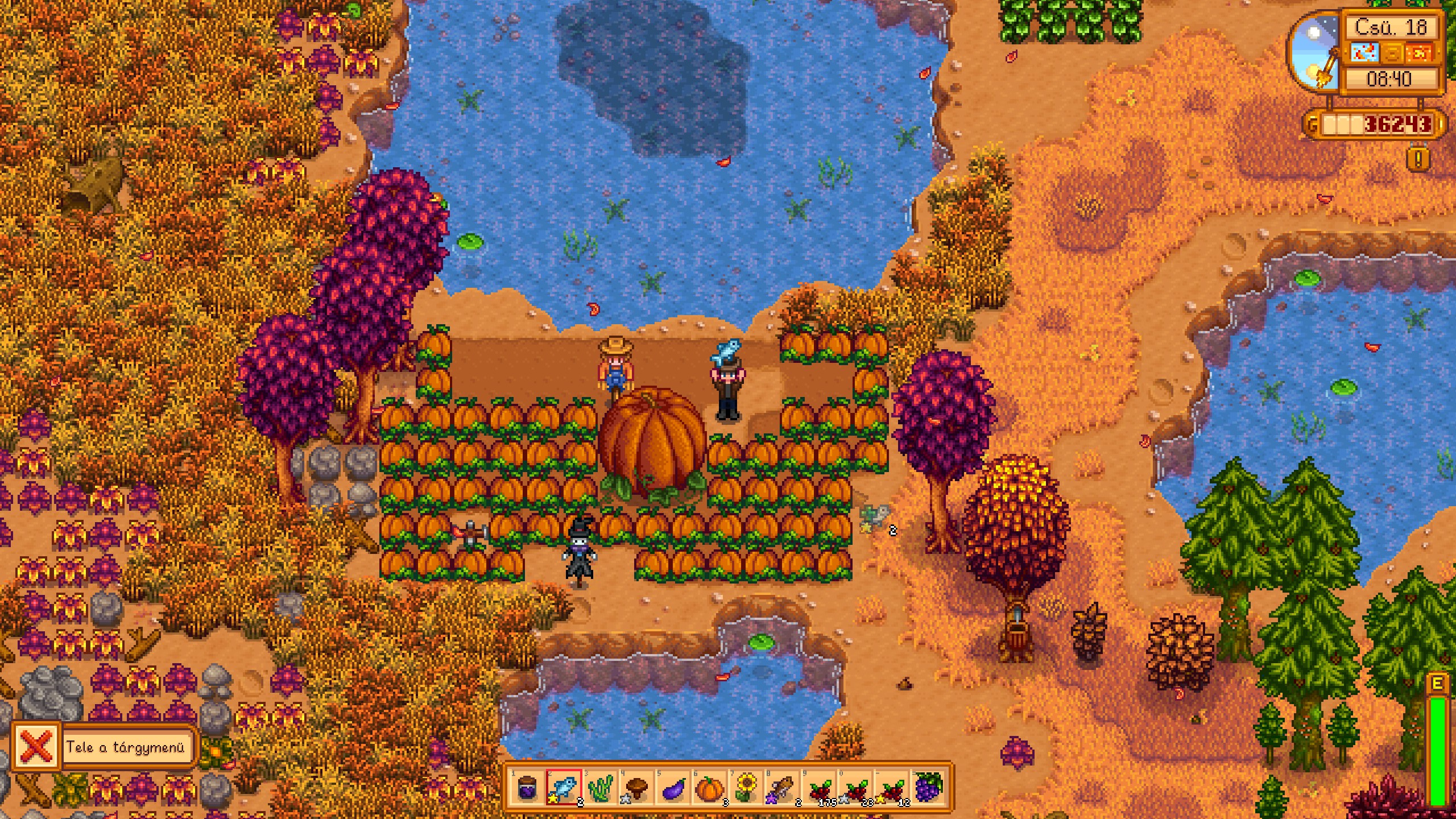 Игровой процесс Stardew Valley