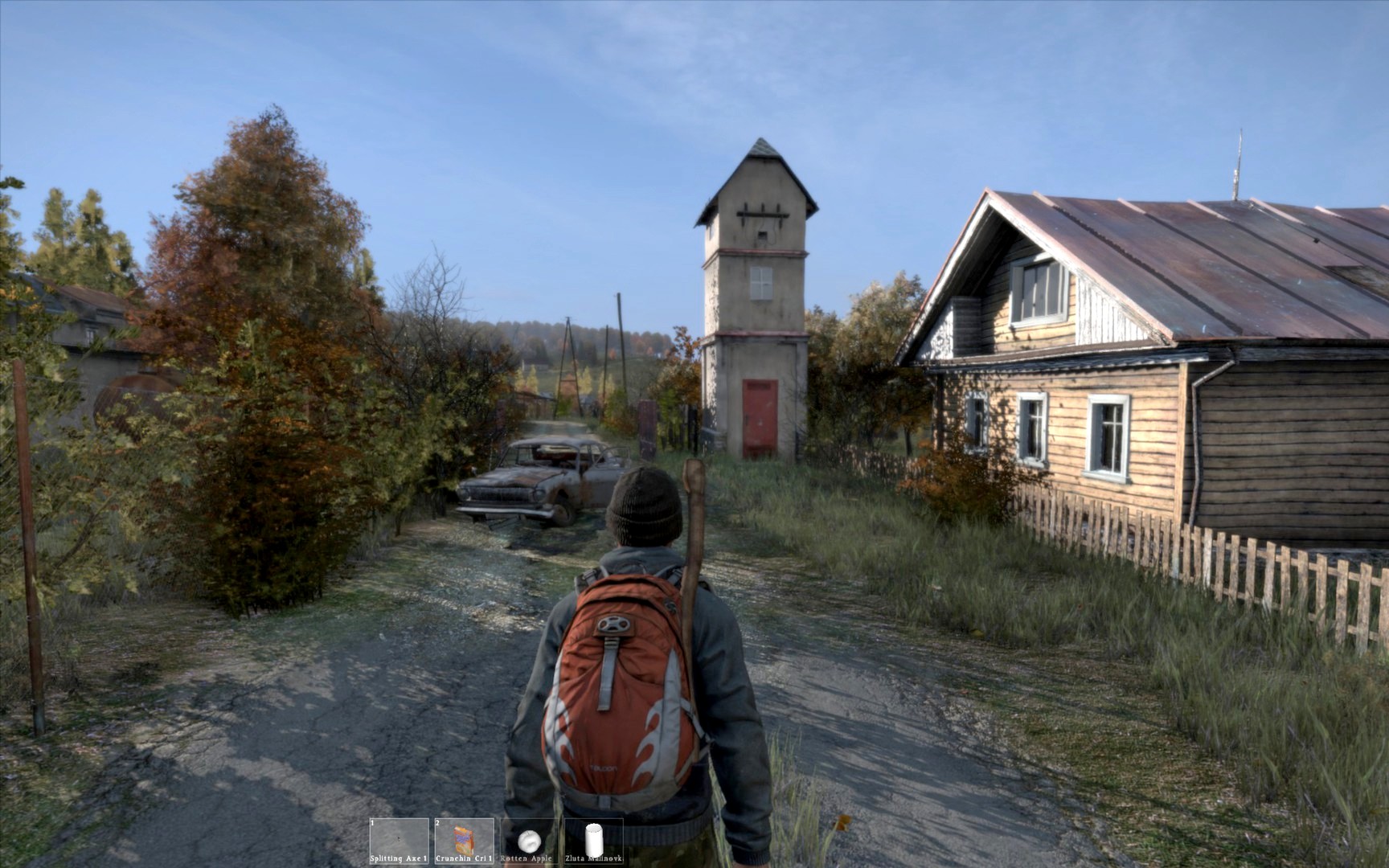 DayZ — игровой процесс