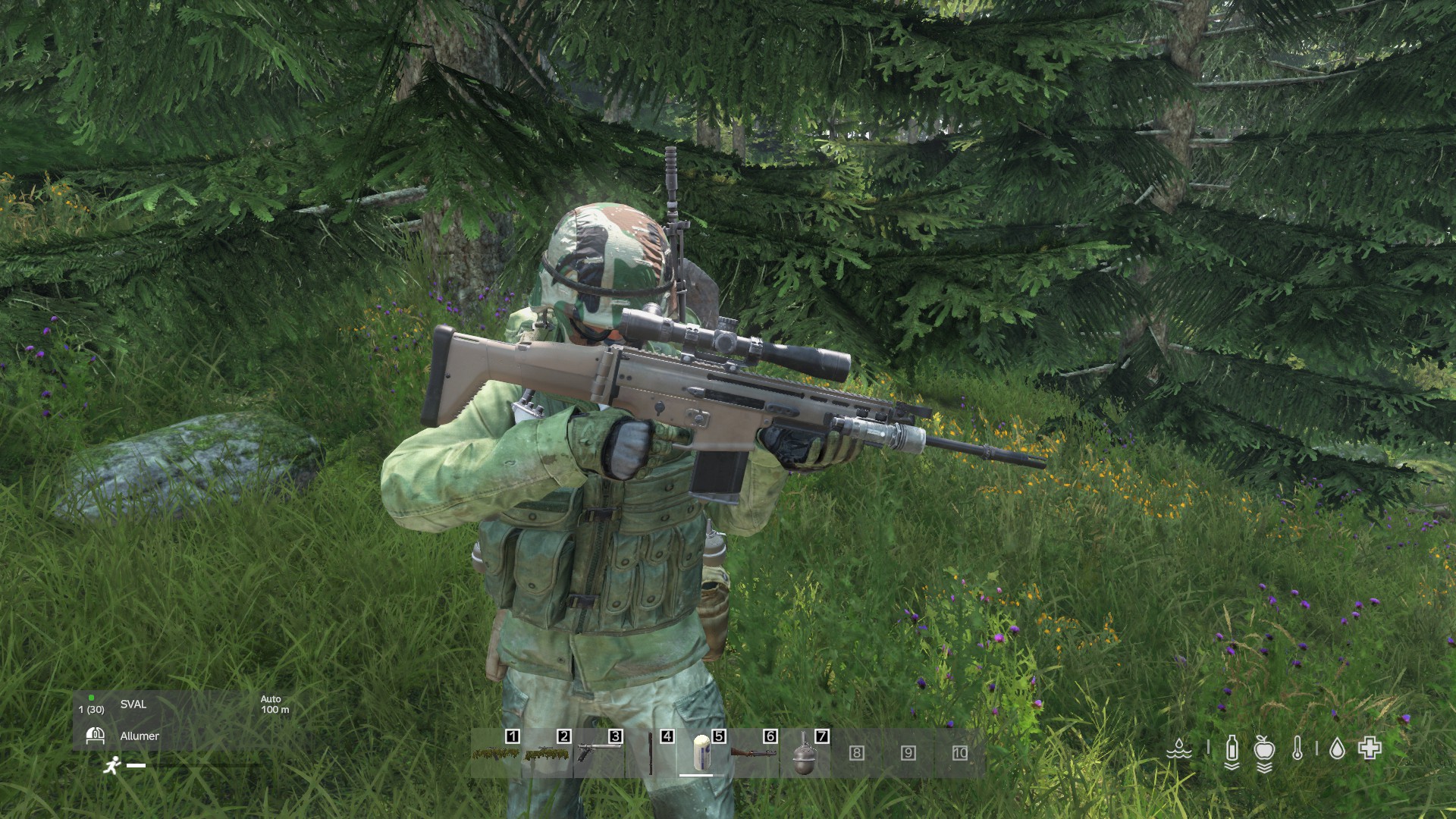 Игровой процесс DayZ