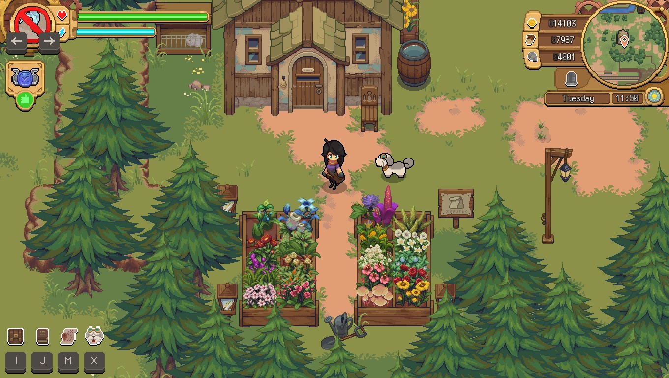Игровой процесс Potion Permit