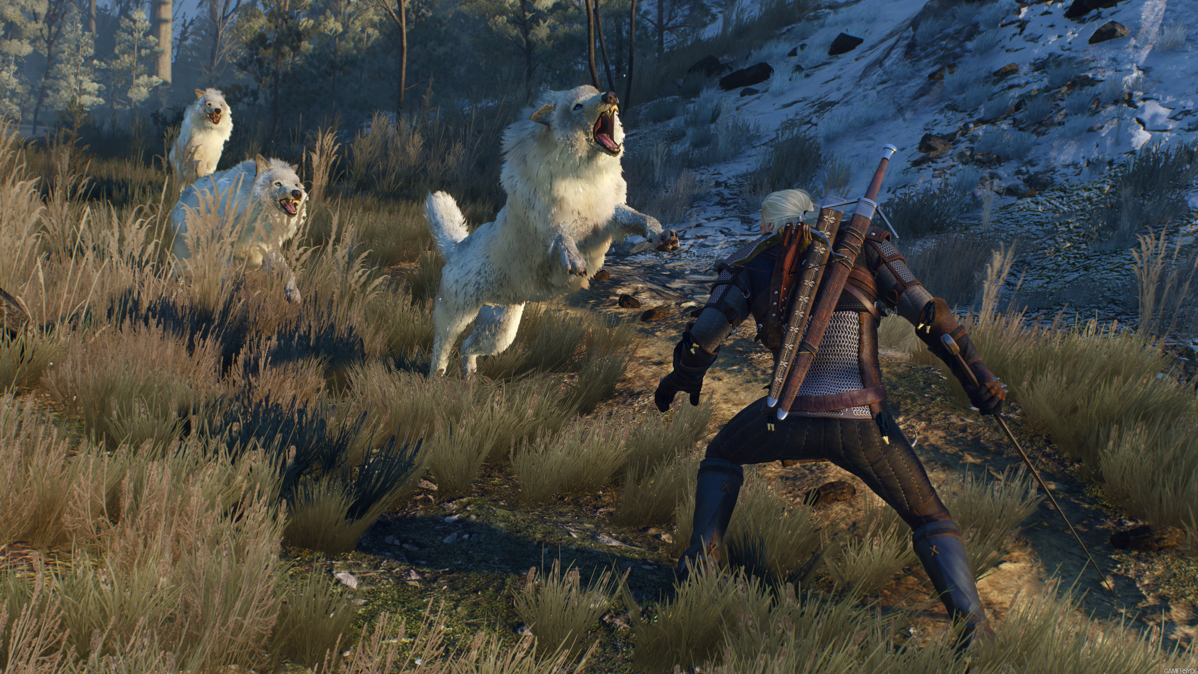 The Witcher 3: Wild Hunt — игровой процесс