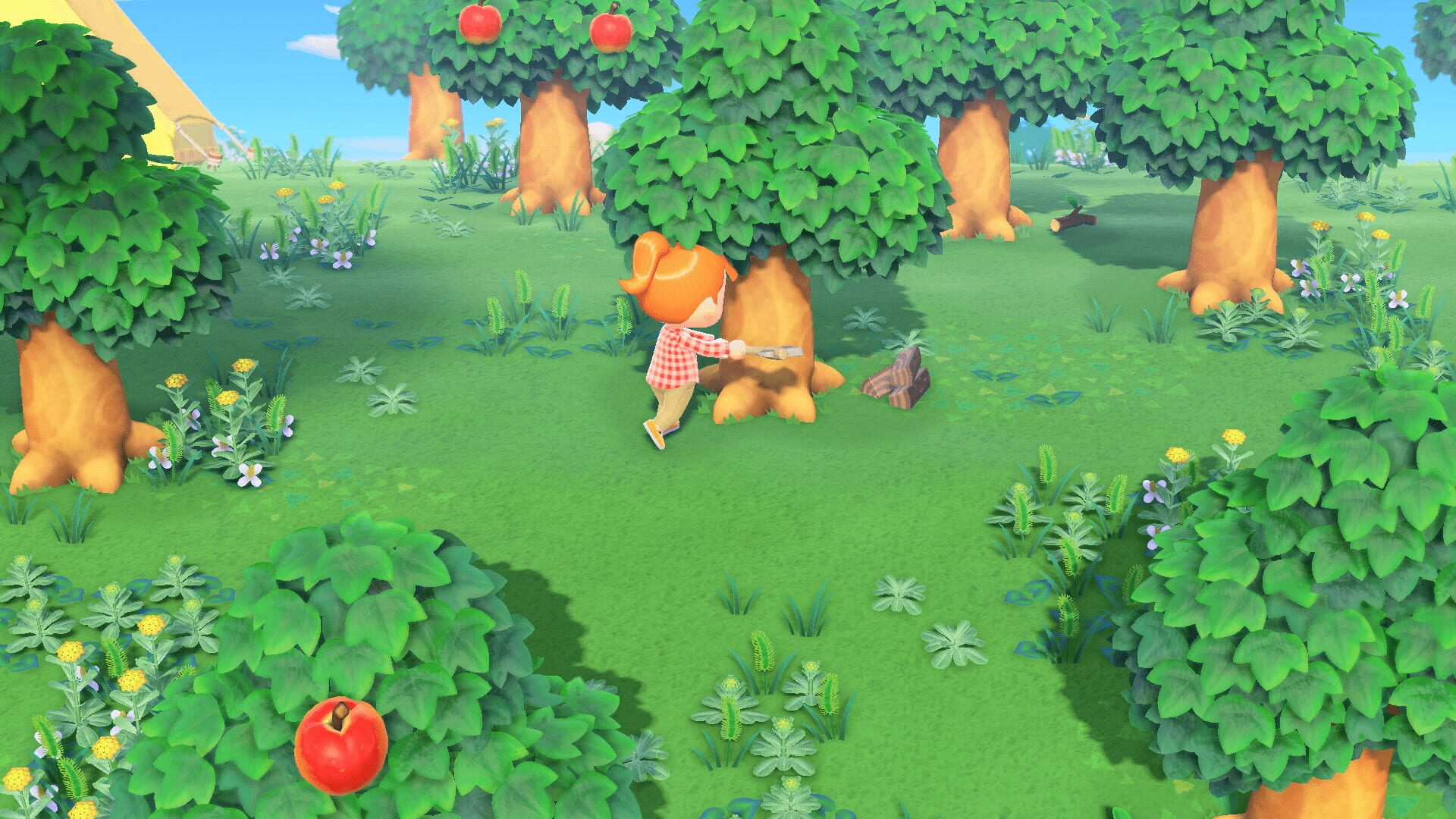 Геймплей Animal Crossing: New Horizons