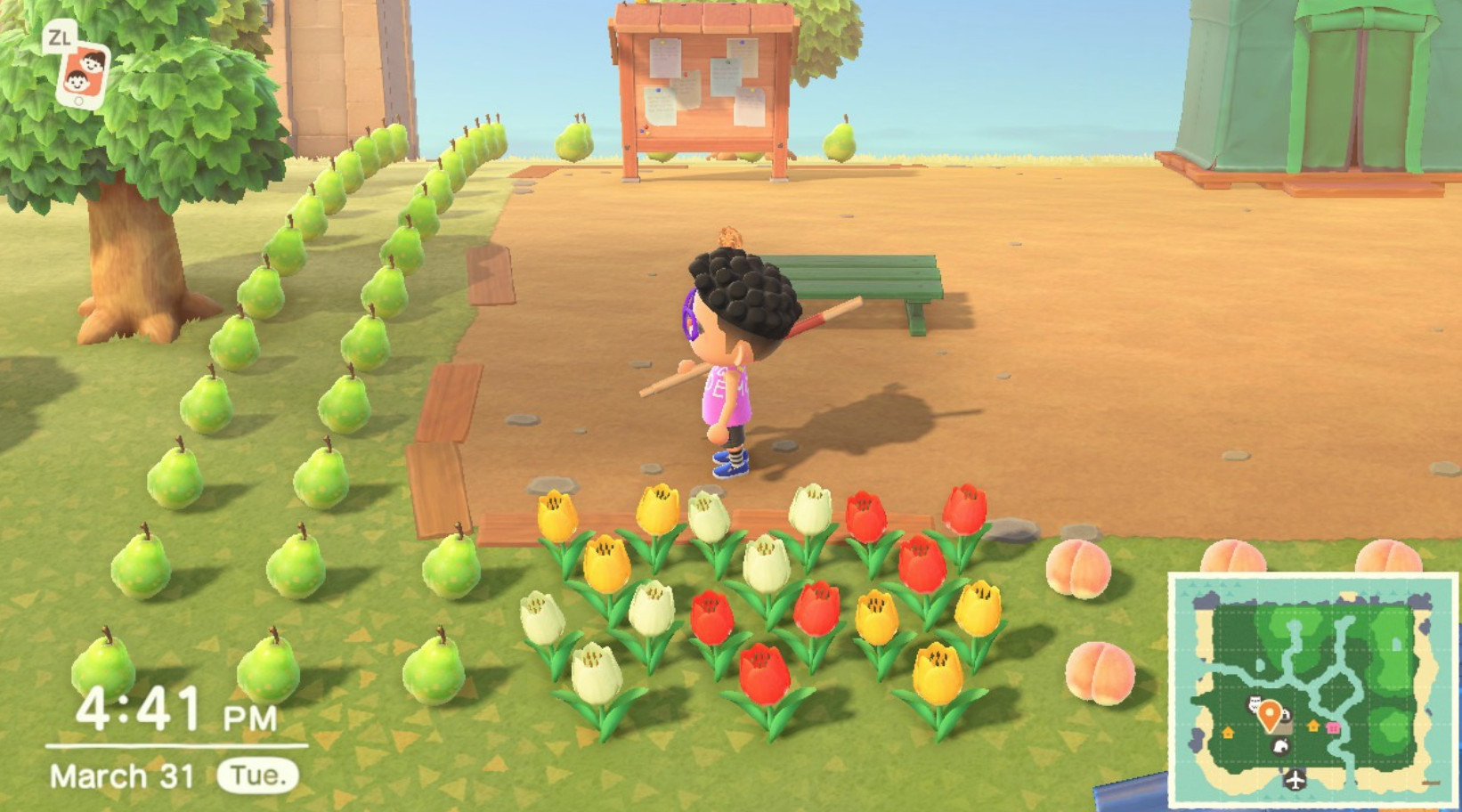 Игровой процесс Animal Crossing: New Horizons: сбор ресурсов и выращивание цветов на острове