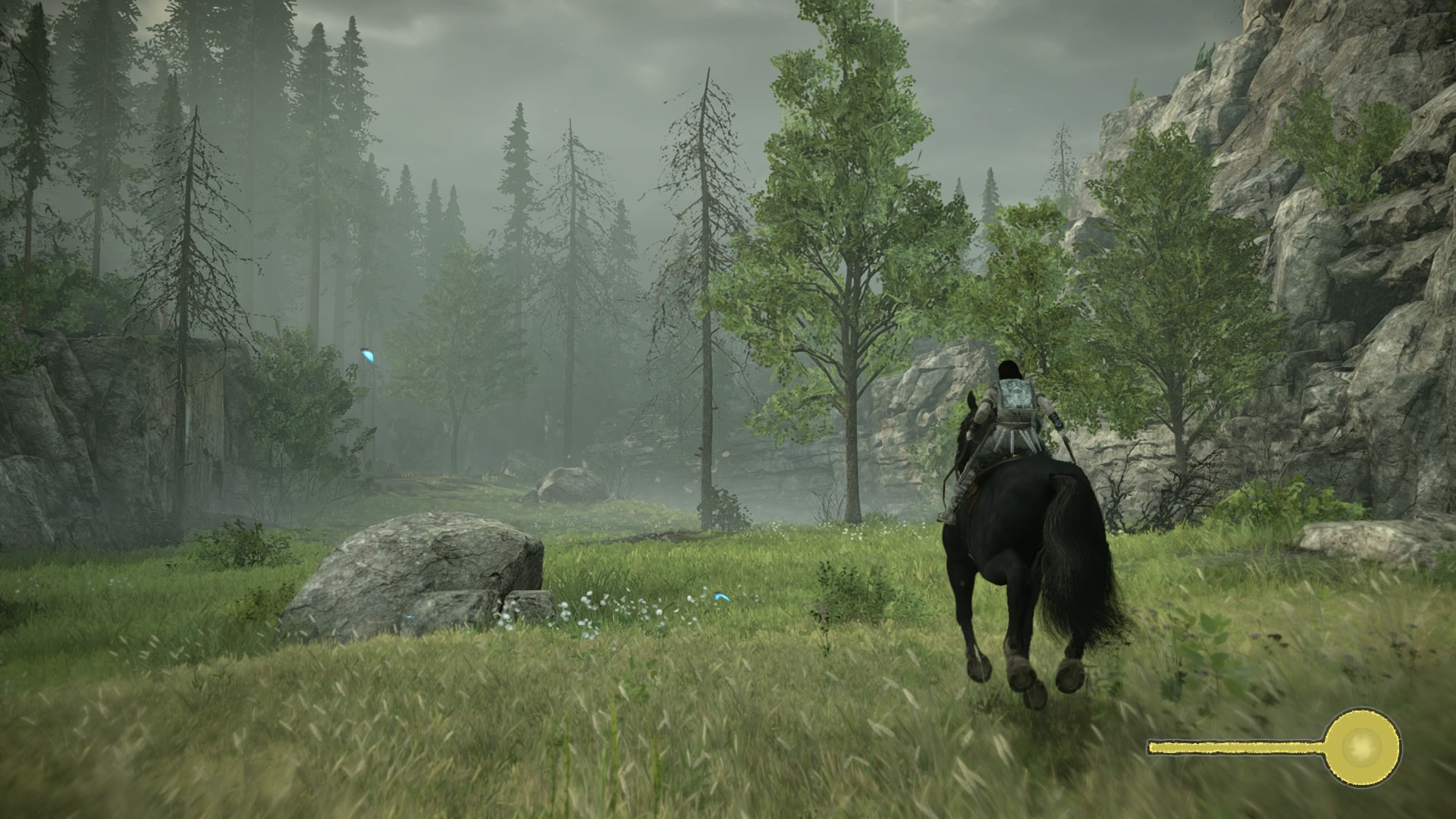 Shadow of the Colossus — путешествие верхом по лесной долине