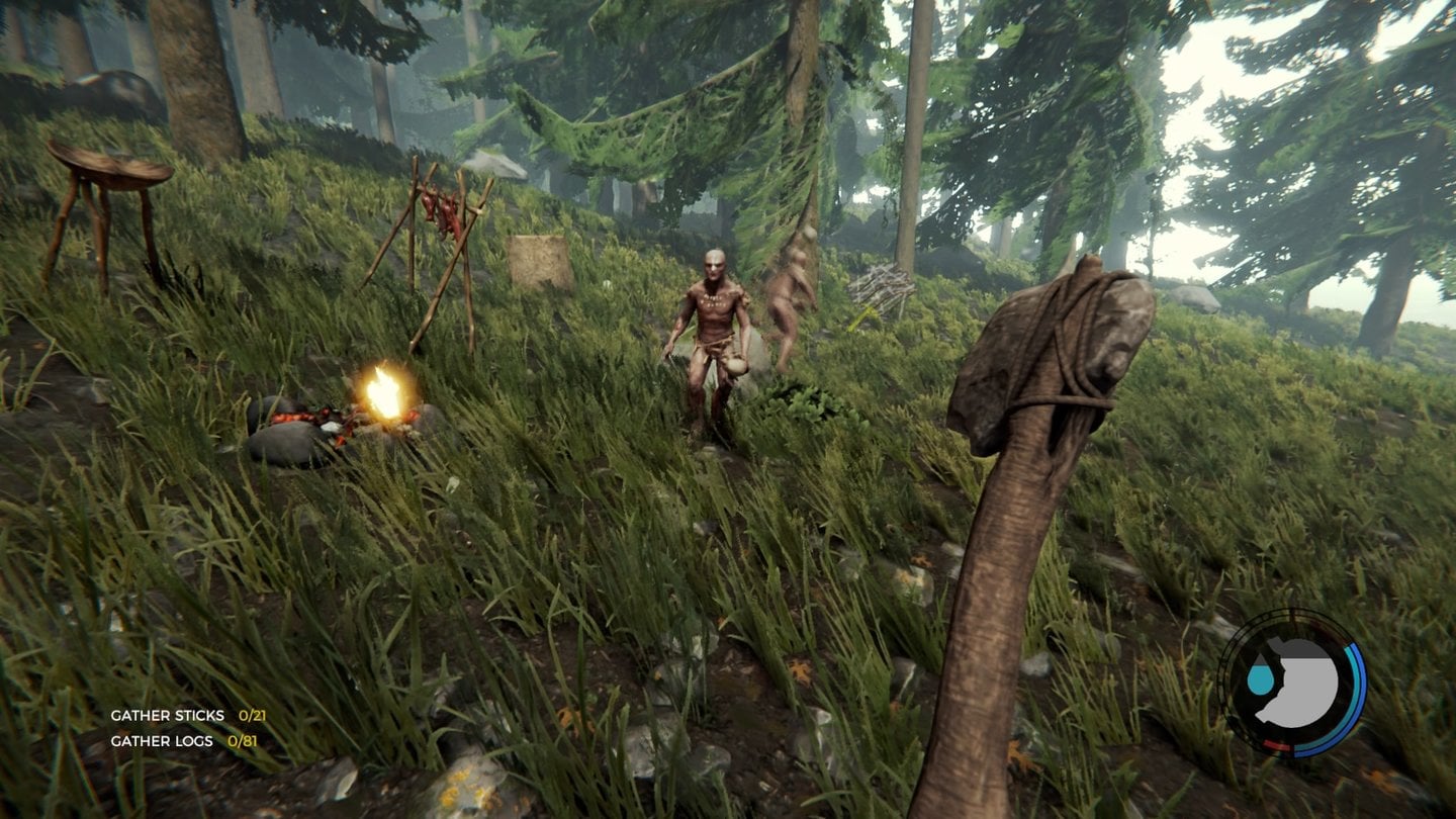 Игровой процесс The Forest