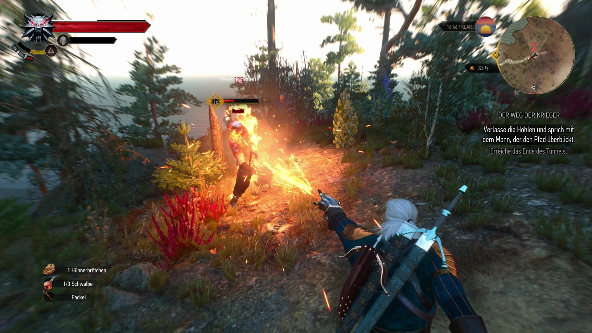 Геральт использует знак Игни в The Witcher 3: Wild Hunt